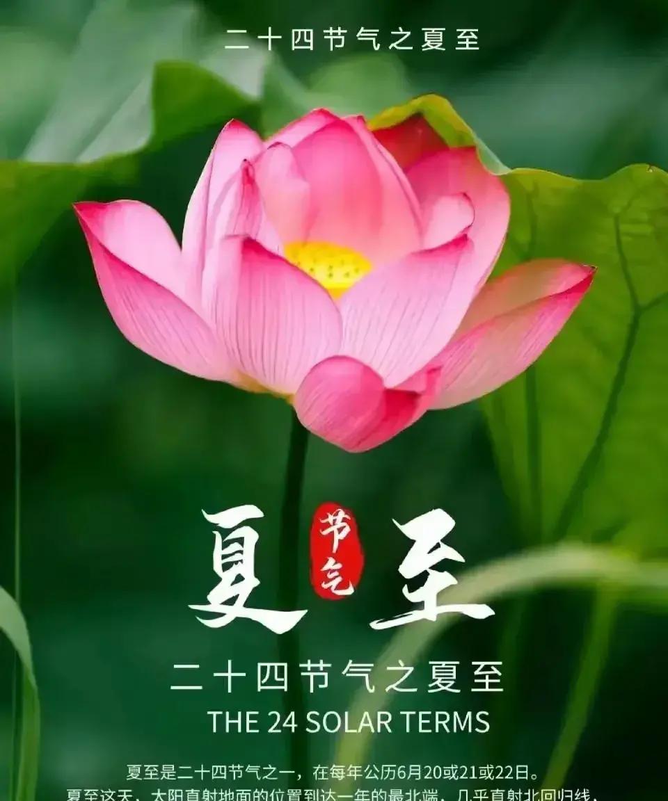 夏至欣临暑气烘,人间自此沐熏风.街头渐见裙裾艳,树上时闻鸟唱浓