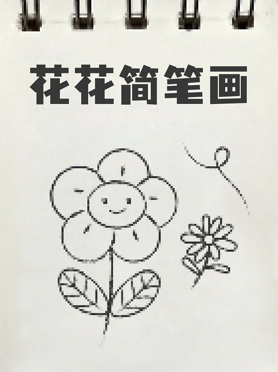 花花简笔画 99现在的时节百花盛开,十分美丽94,各位宝妈会带着