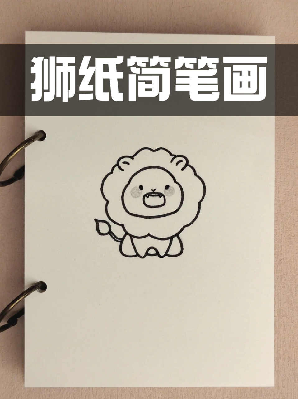 狮纸简笔画 99提到狮子,宝子们应该脑海中都是凶猛可怕的形象73