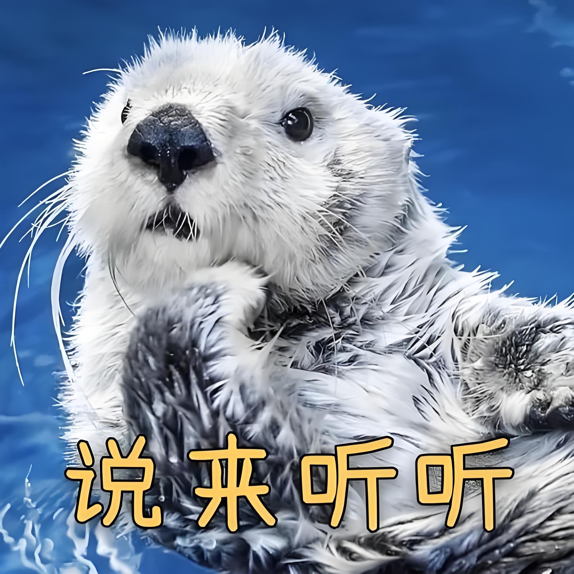 第一种是985/211大学离退休还差几年的老教授