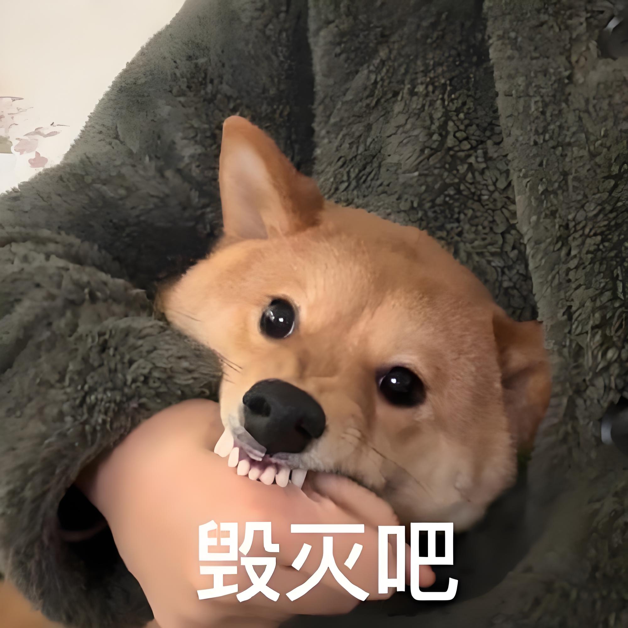 大学老师哪有不忙的,这是一位来自边疆的大学副教授的分享