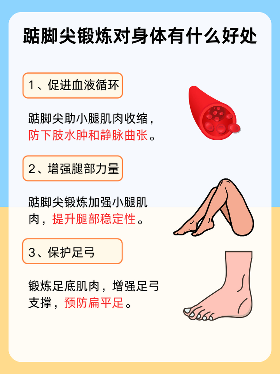 踮脚尖动作图解图片