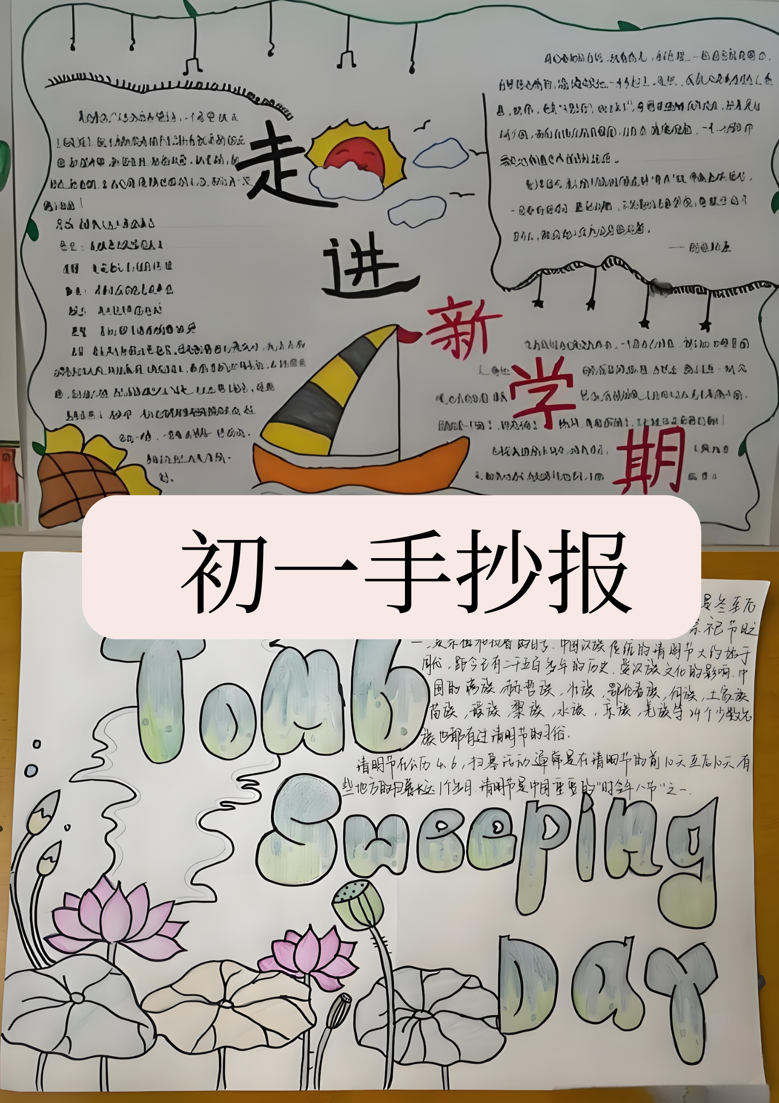 在这个充满活力与探索的初一学年,我们迎来了一次特别的