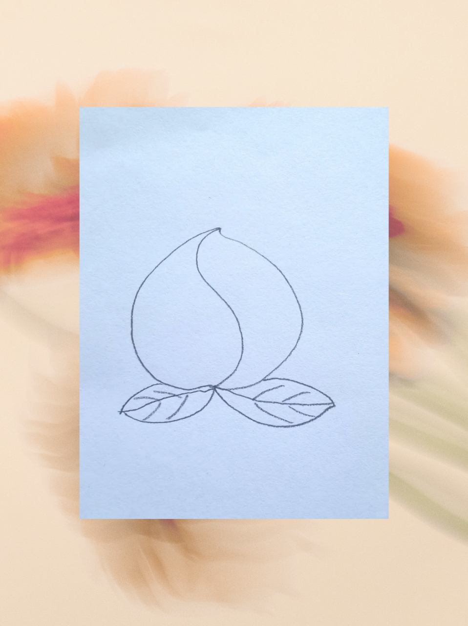 9678 教你画出超可爱的桃子 99 先用铅笔轻轻勾勒出桃子的大致