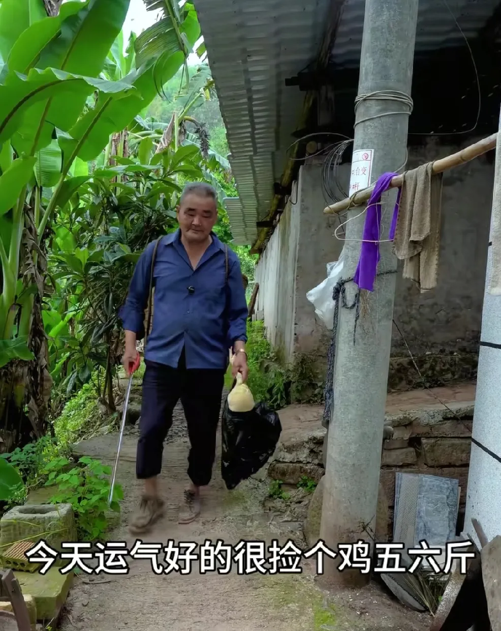 三娃子好几天没回家,留老父亲一个人在家