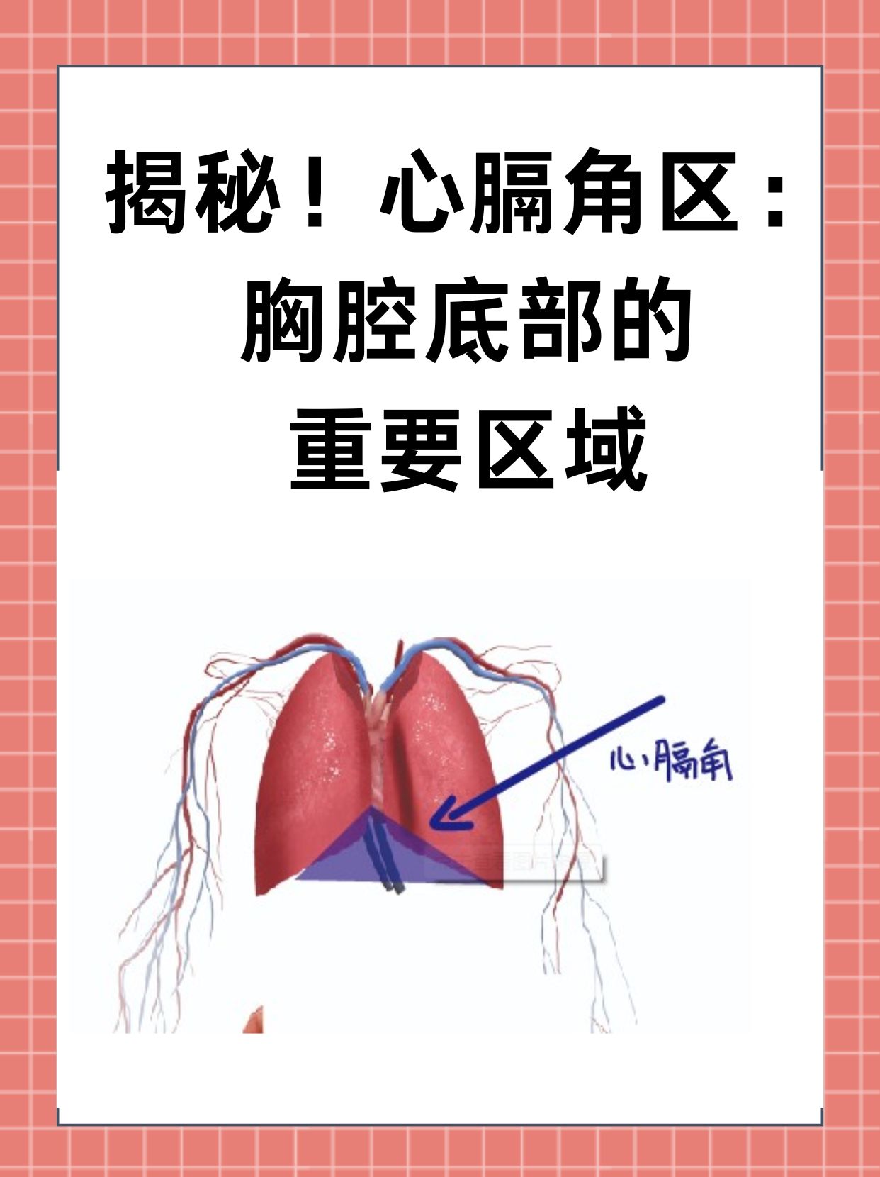 胸口位置 心口图片