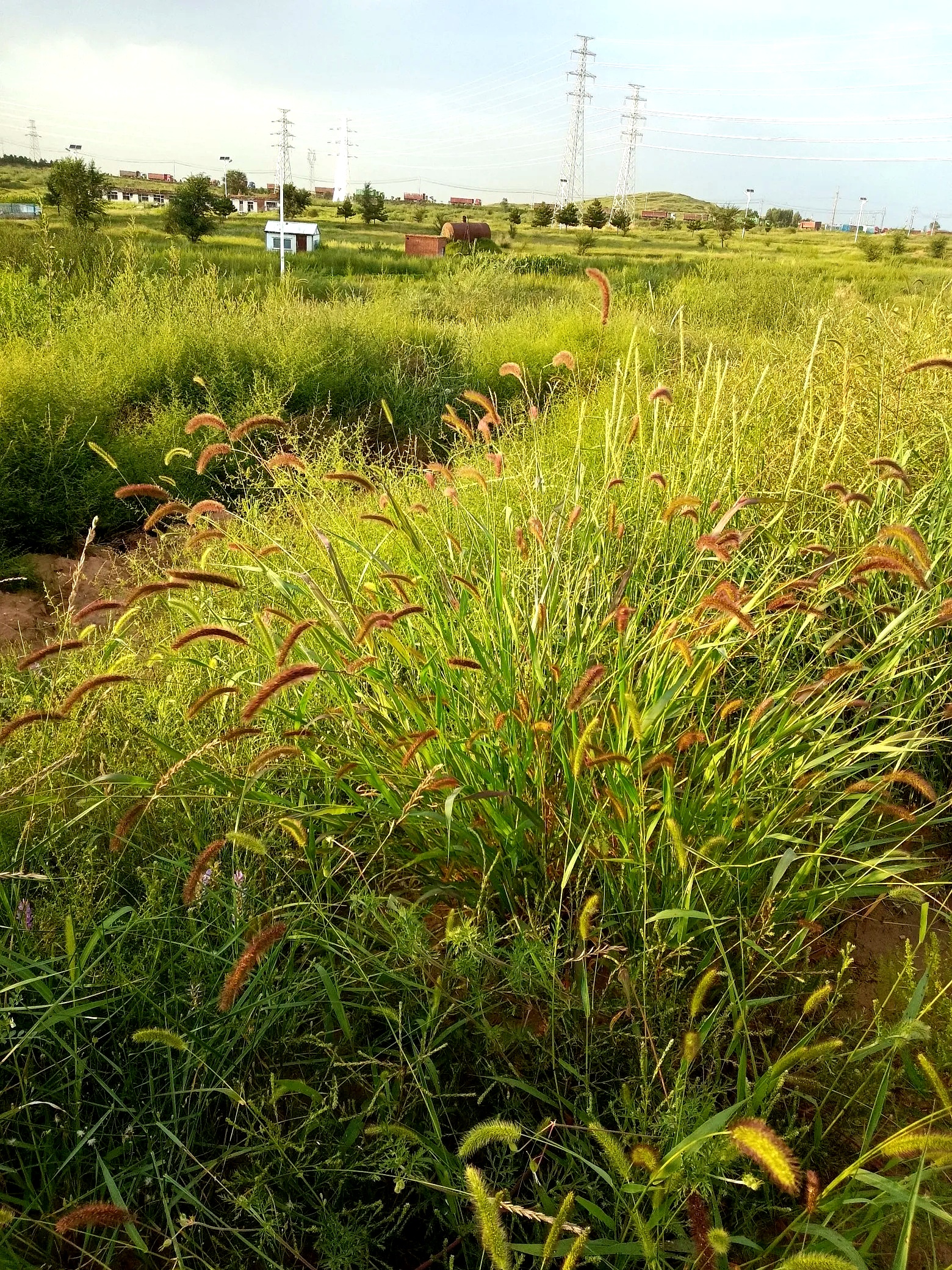 她总是摆出一副高高在上的样子,大概是觉得家里