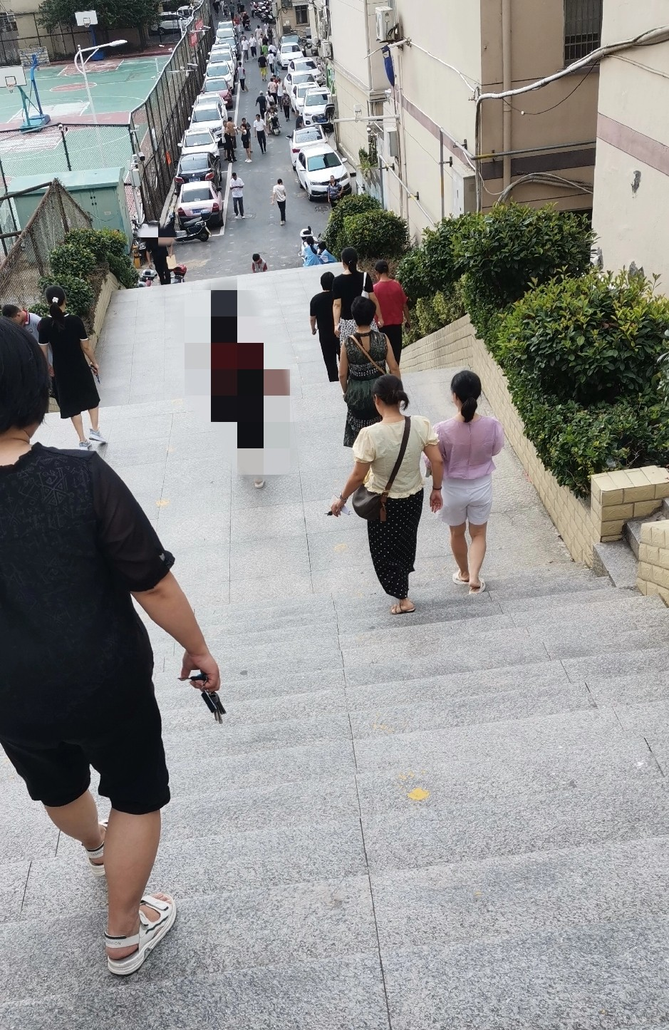 昨晚,上初一的小儿子兴冲冲回家跟我说,老妈,你知不