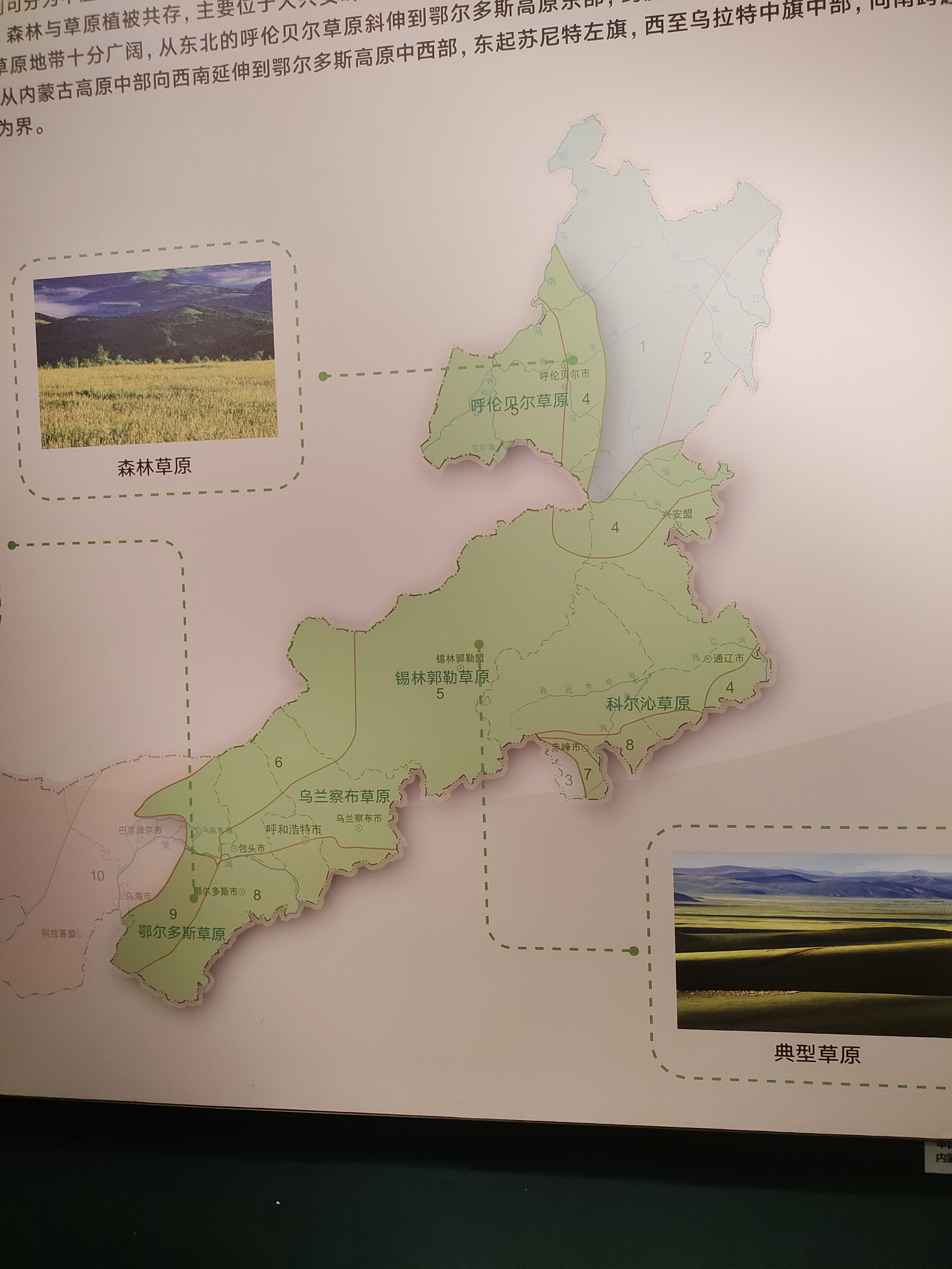 大家一提到内蒙古,首先会想到辽阔美丽的大草原