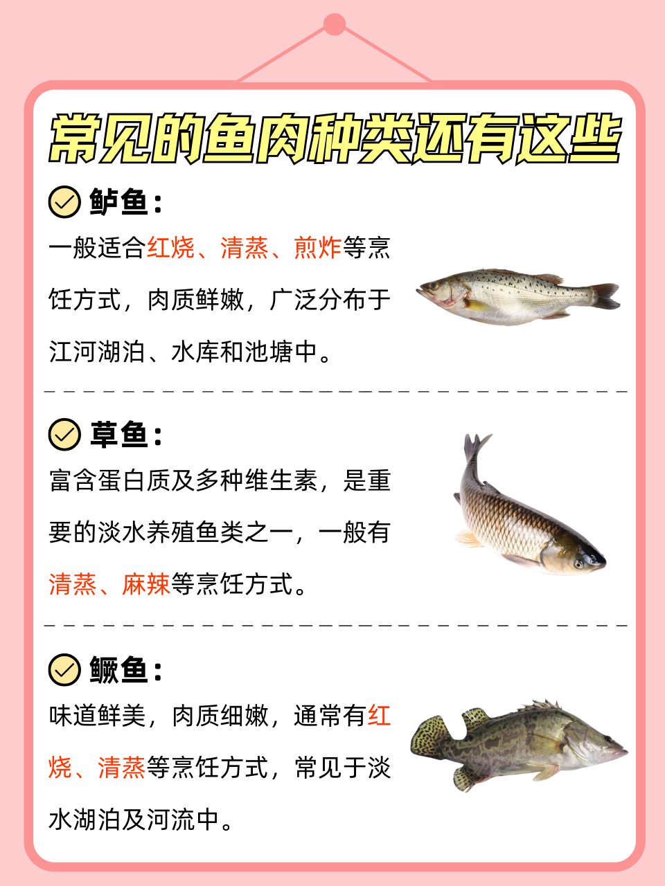 三文鱼除了能饱腹,对人体还有一定的功效,那么,你知道吃三文鱼的好处