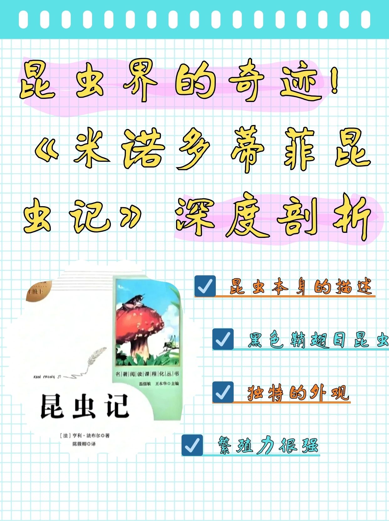 《米诺多蒂菲昆虫记》深度剖析