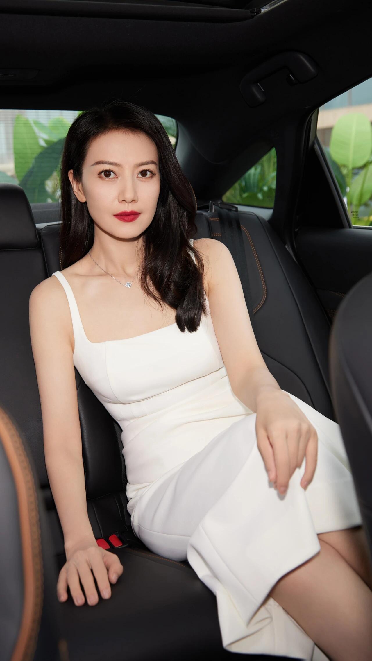 被誉为国民女神,梦中情人的高圆圆,以其持久的自然美和高雅气质,俘获