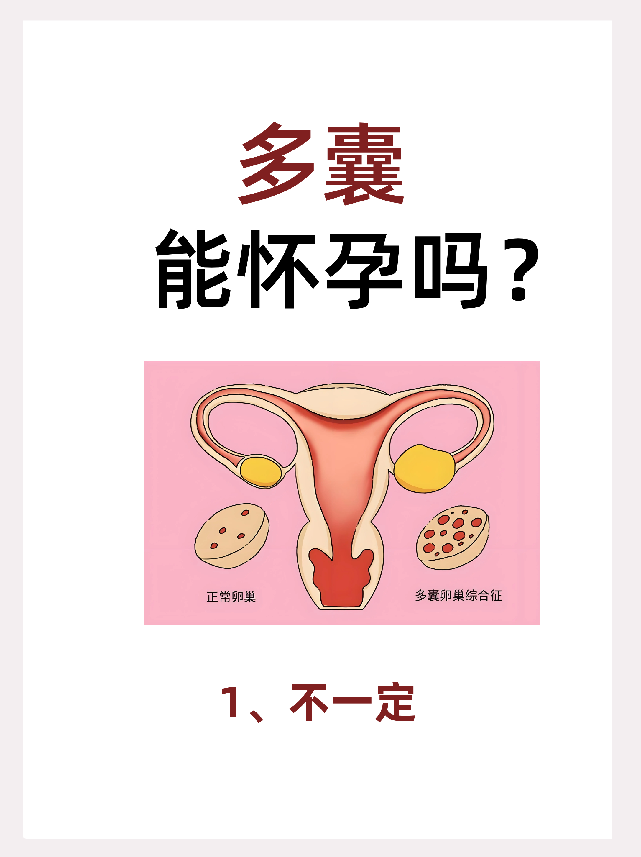 卵子 第219页