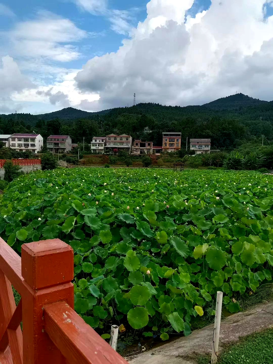 服装厂天天加班,女邻居总是很晚才回家