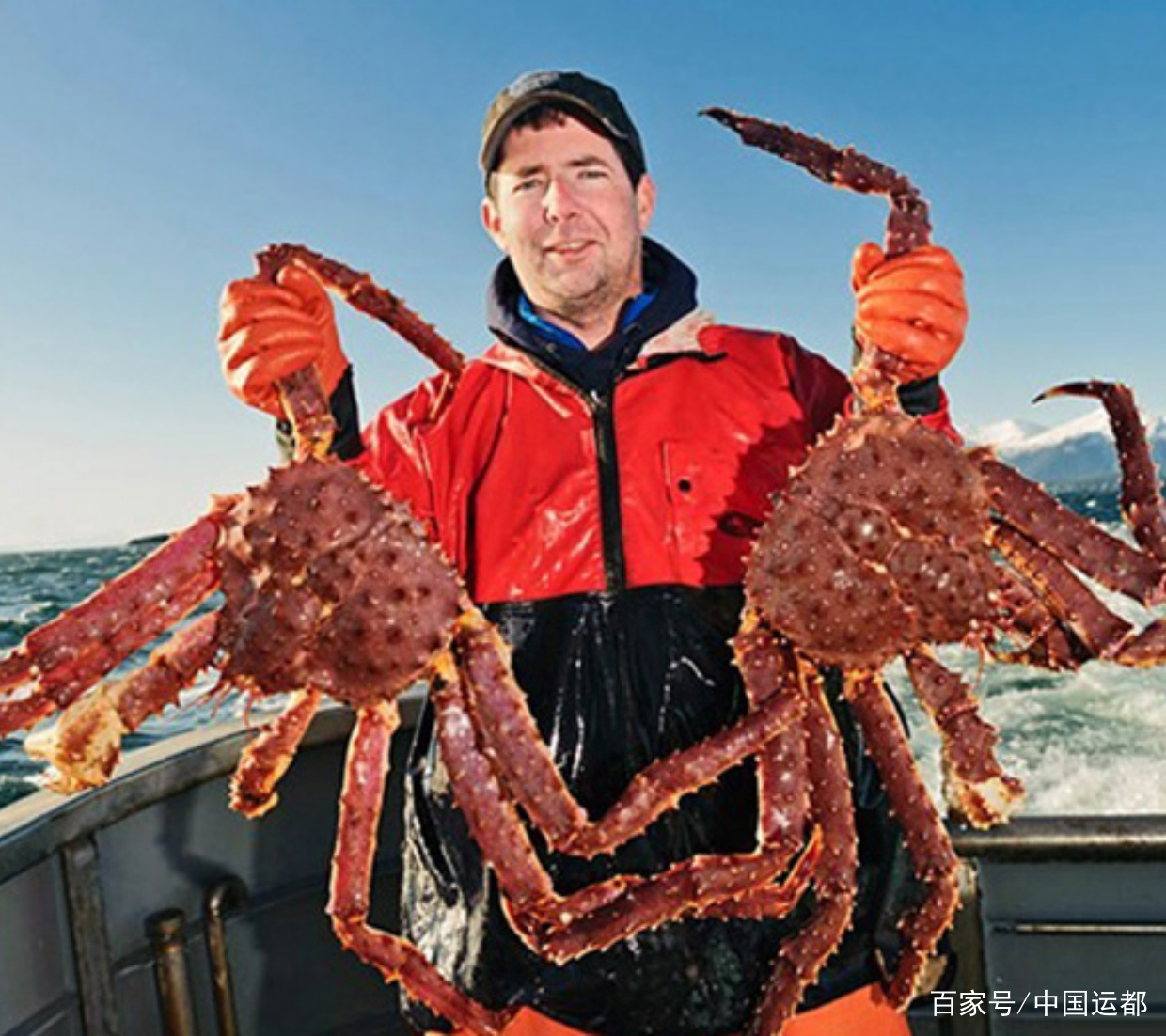 2022年,阿拉斯加附近的白令海数十亿只螃蟹消失,震惊了渔民和科学家