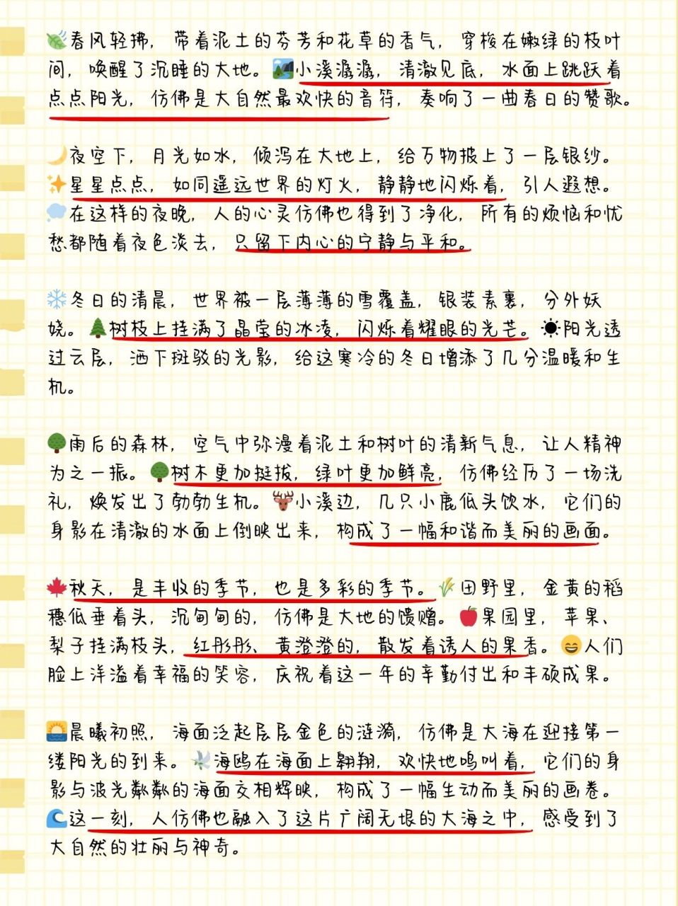 摘抄优美段落加赏析图片