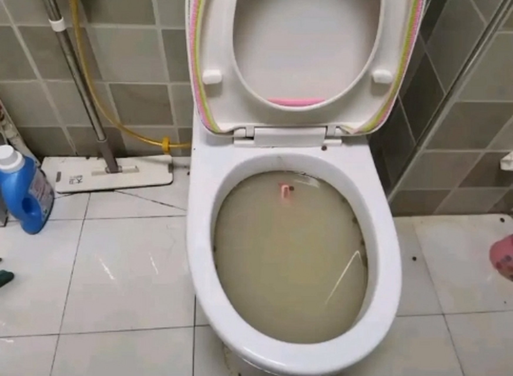 把猫砂倒进去就被堵了,我这买的也不是便宜的猫砂啊.