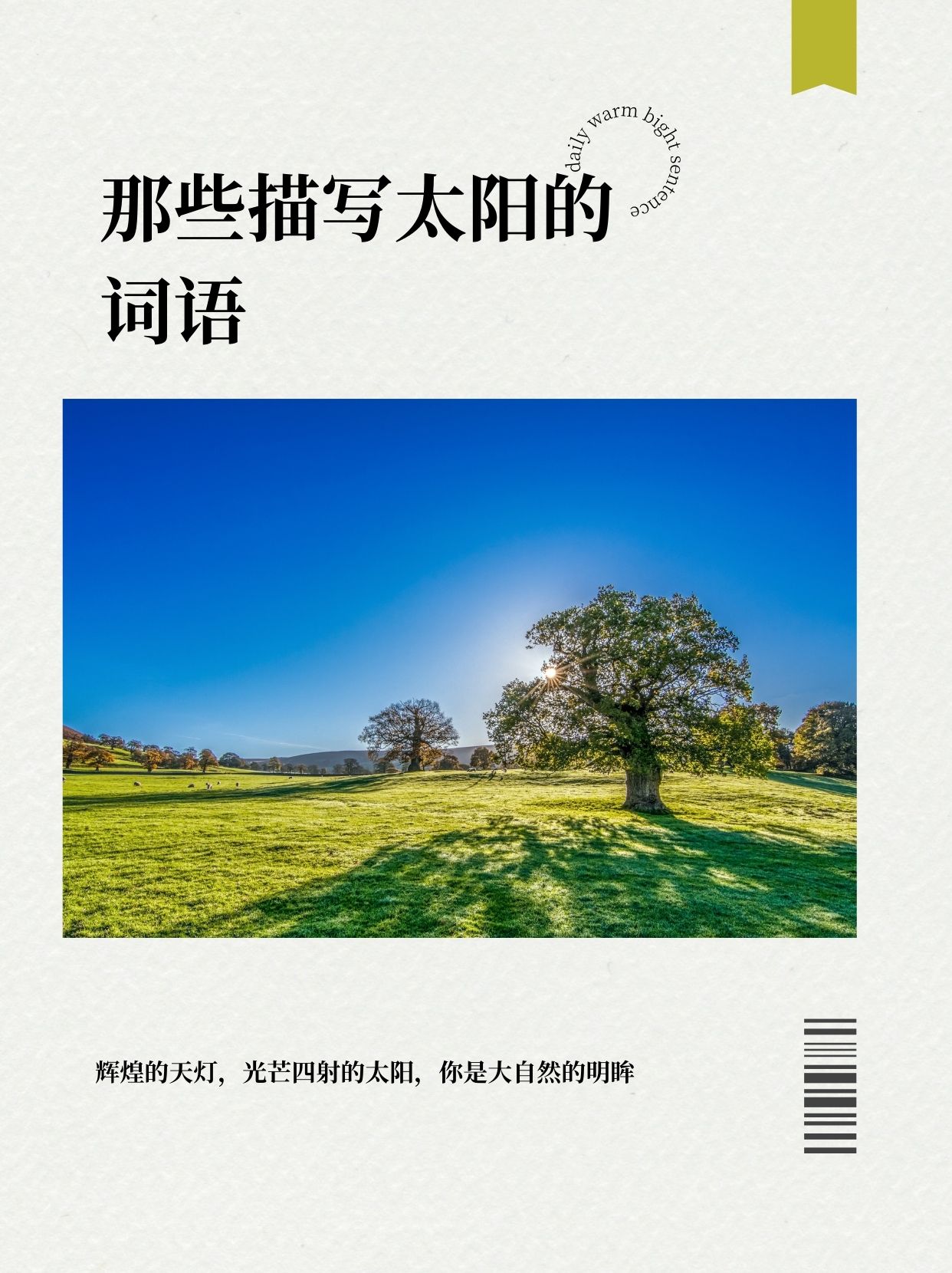 失去信心叫什么词语(失去信心的词语有哪些)