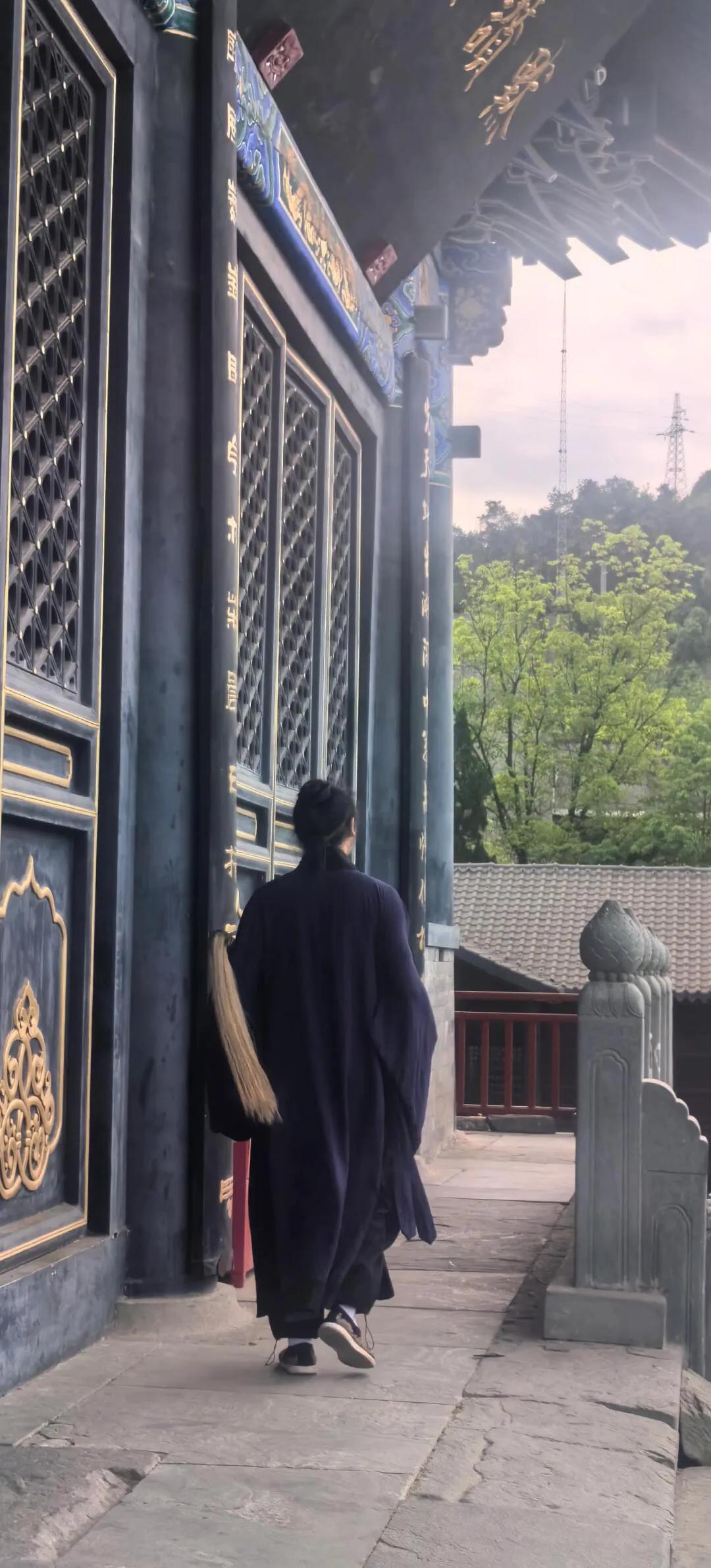 "  结合两人盘的能量轨迹,我发现他们的情感纽带依然存在道士背影图片