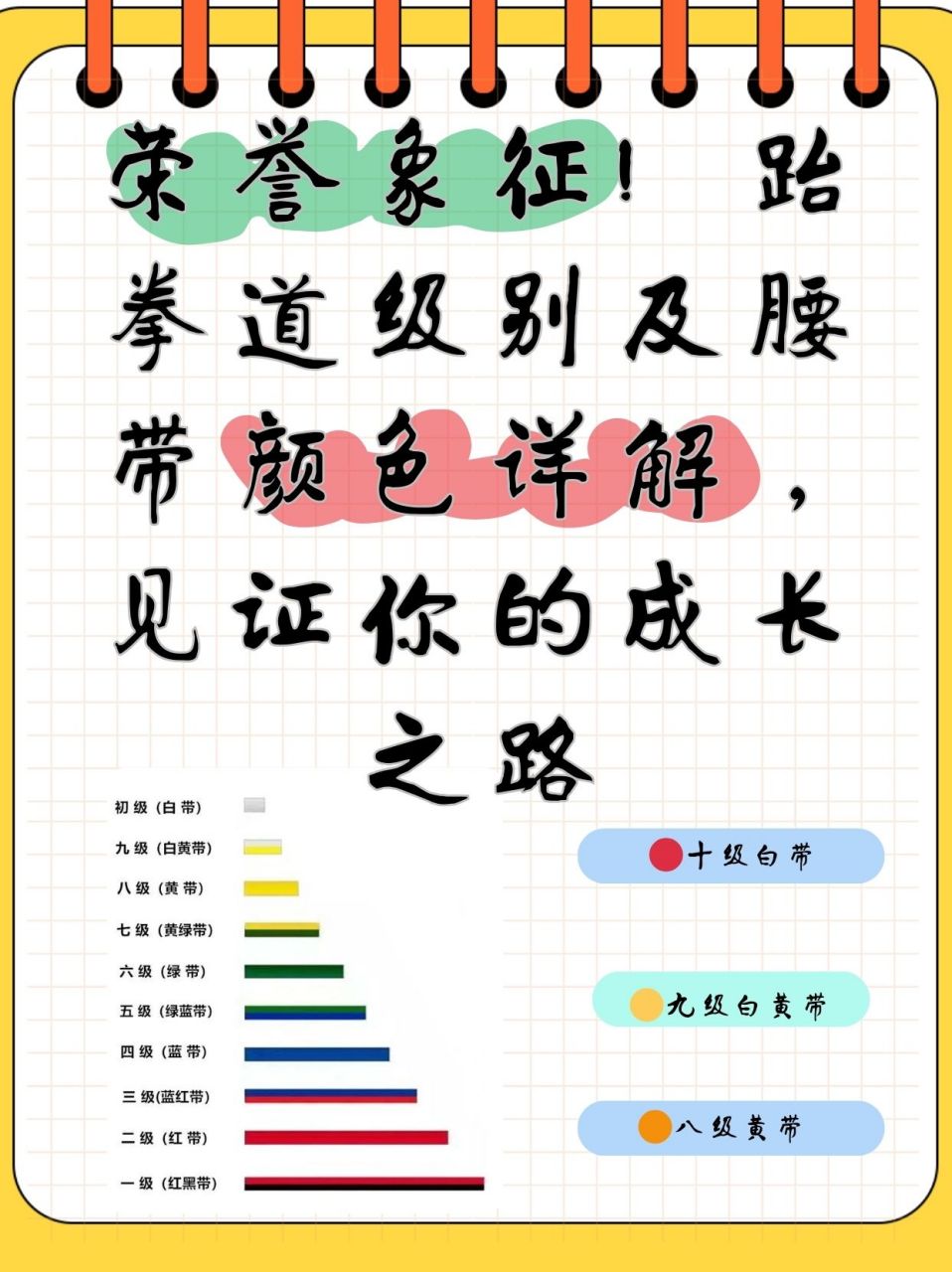 跆拳道级别及腰带颜色详解,见证你的成长之路  我是今年开始给我女儿