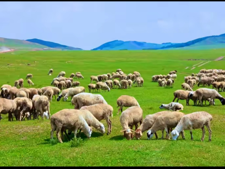咱来看看各省特产"独特排行榜"!第十名内蒙古,牛羊数量超绝,畜牧业发