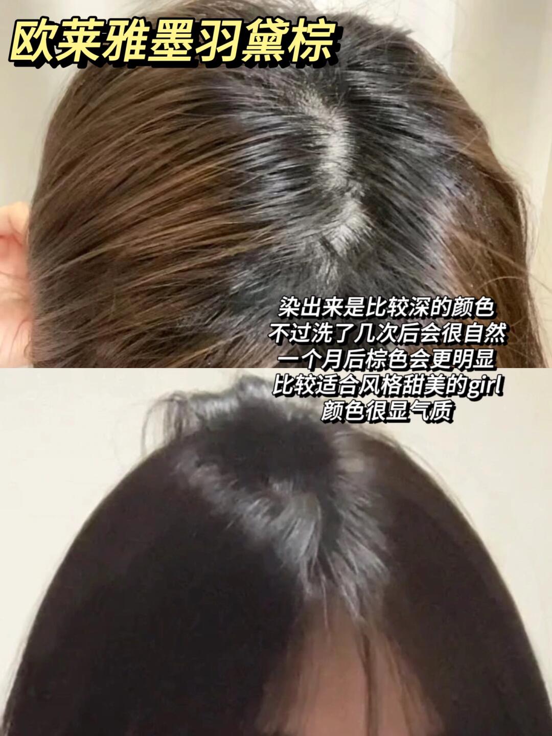 染发新风尚让你的秀发焕发新生