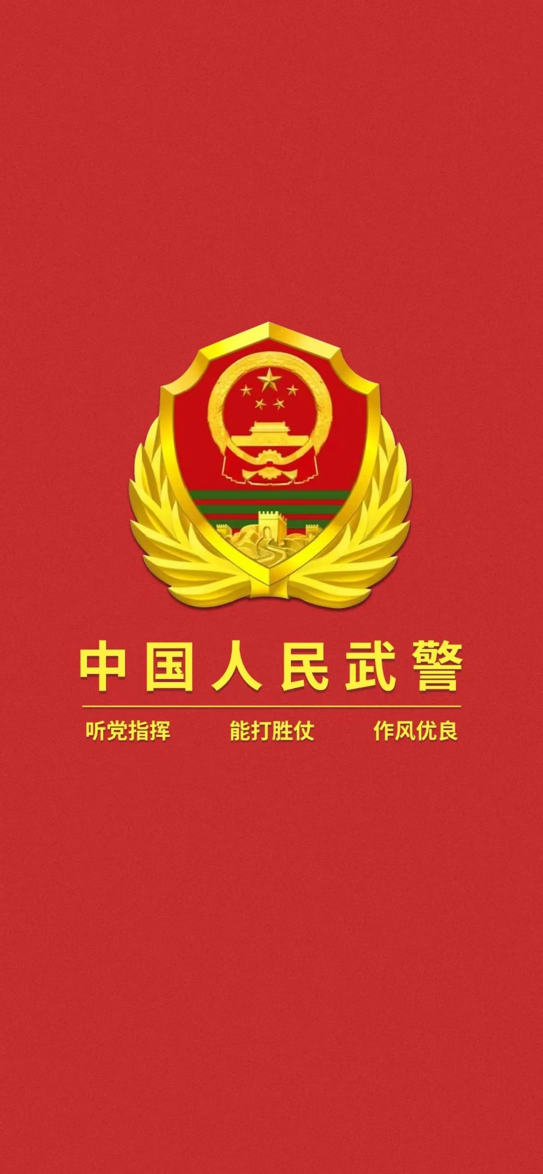 职能定位 警察police图片中国武装人民警察部队武警pap含义中国人民