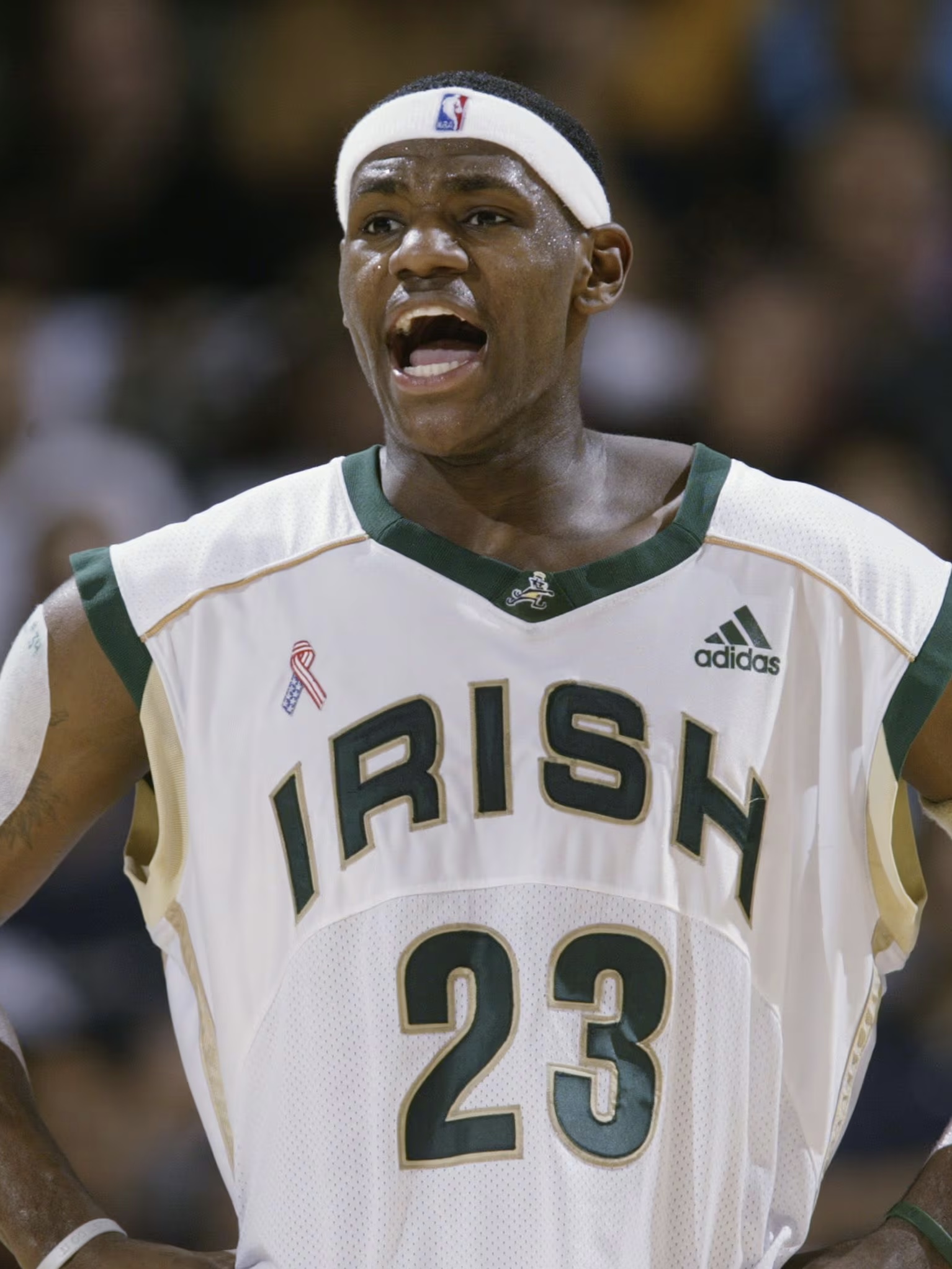 人里—— 3位状元秀: 夸梅·布朗(2001年),勒布朗·詹姆斯