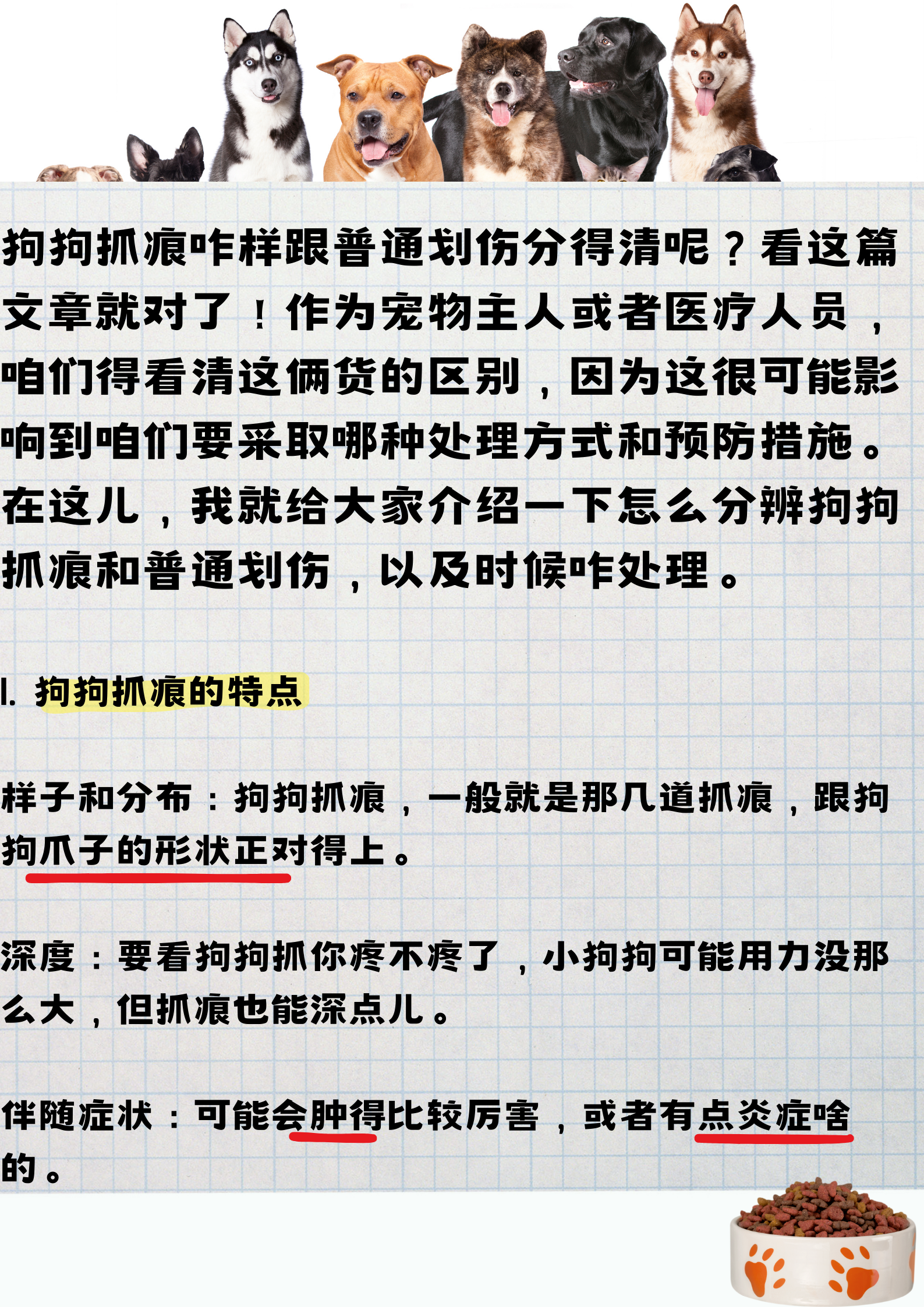 表面是否有清晰可见的抓痕,狗狗的抓伤,一般速度快,爪尖锋利,会有出血