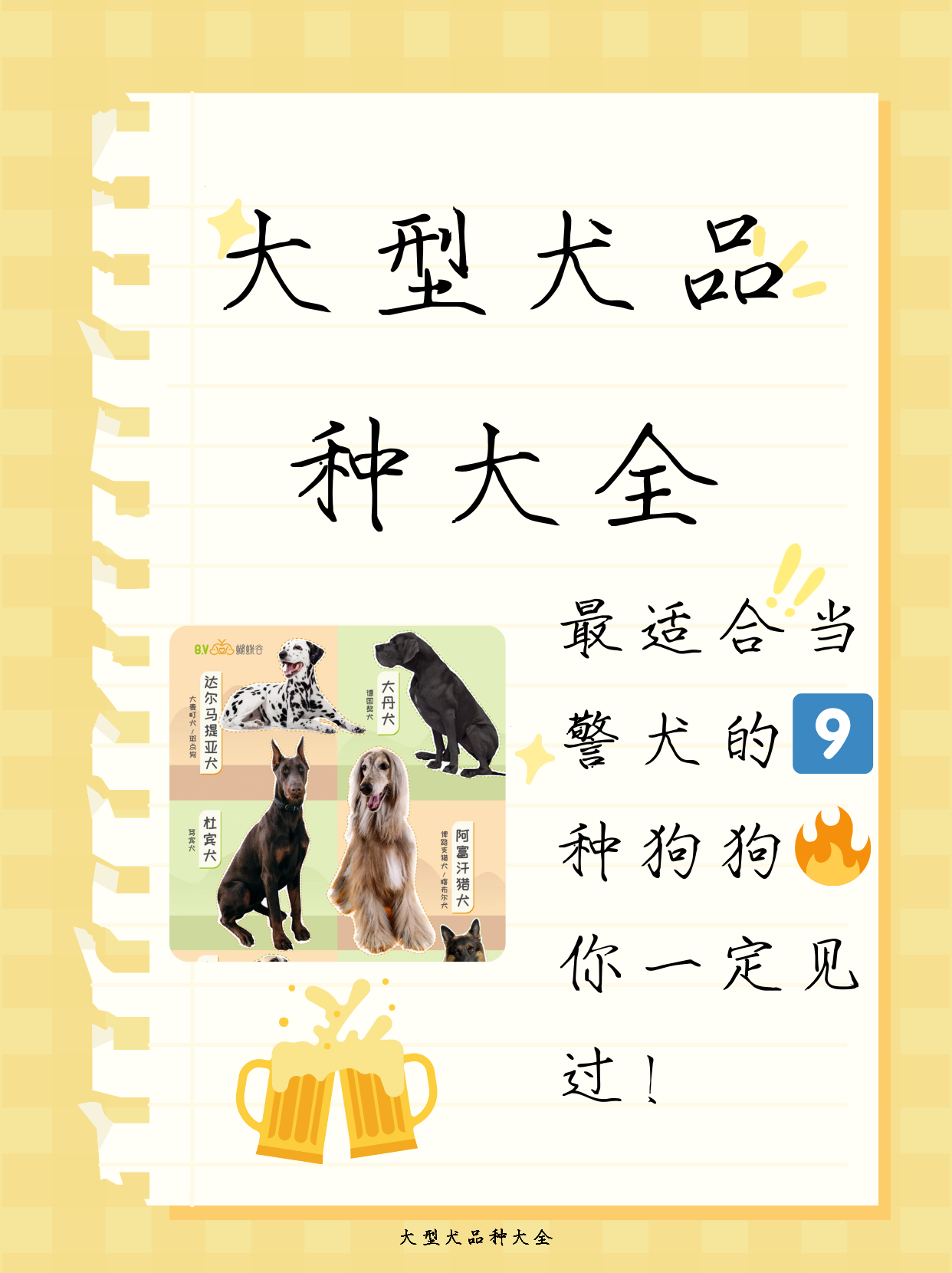 大型犬品种大全 德国牧羊犬:忠诚,聪明,具有很强的服从性和工作能力