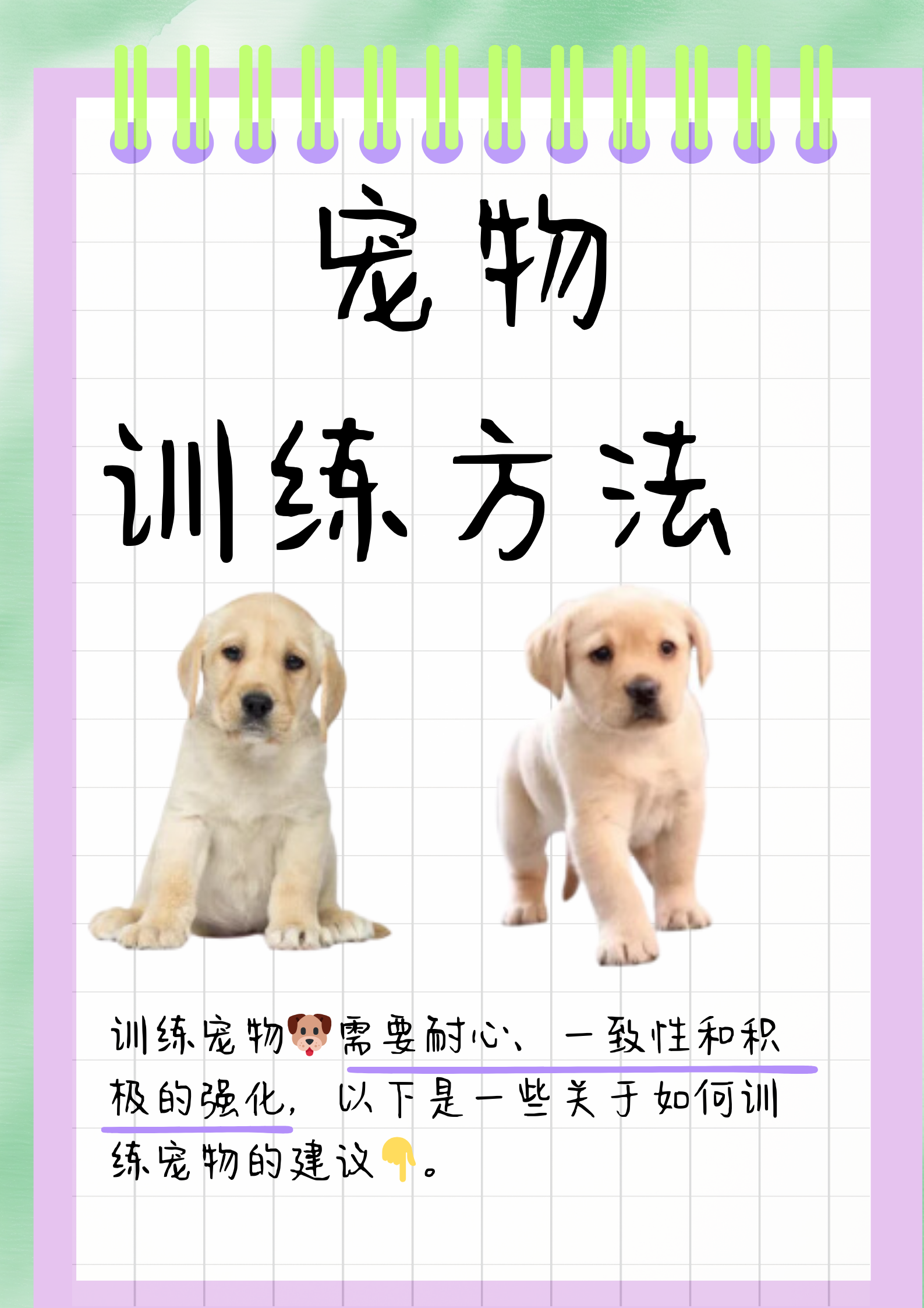 宠物训练方法  1.