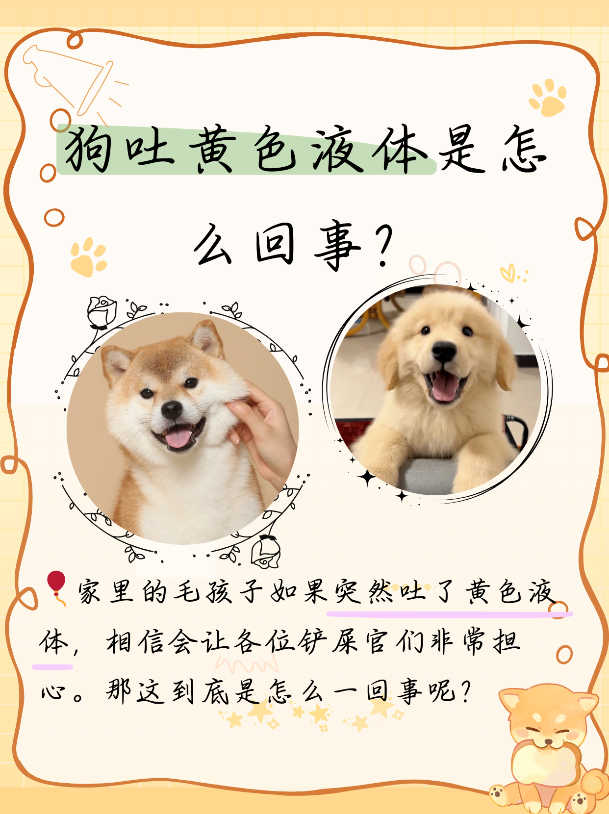 狗为什么会吐虫子为什么在线