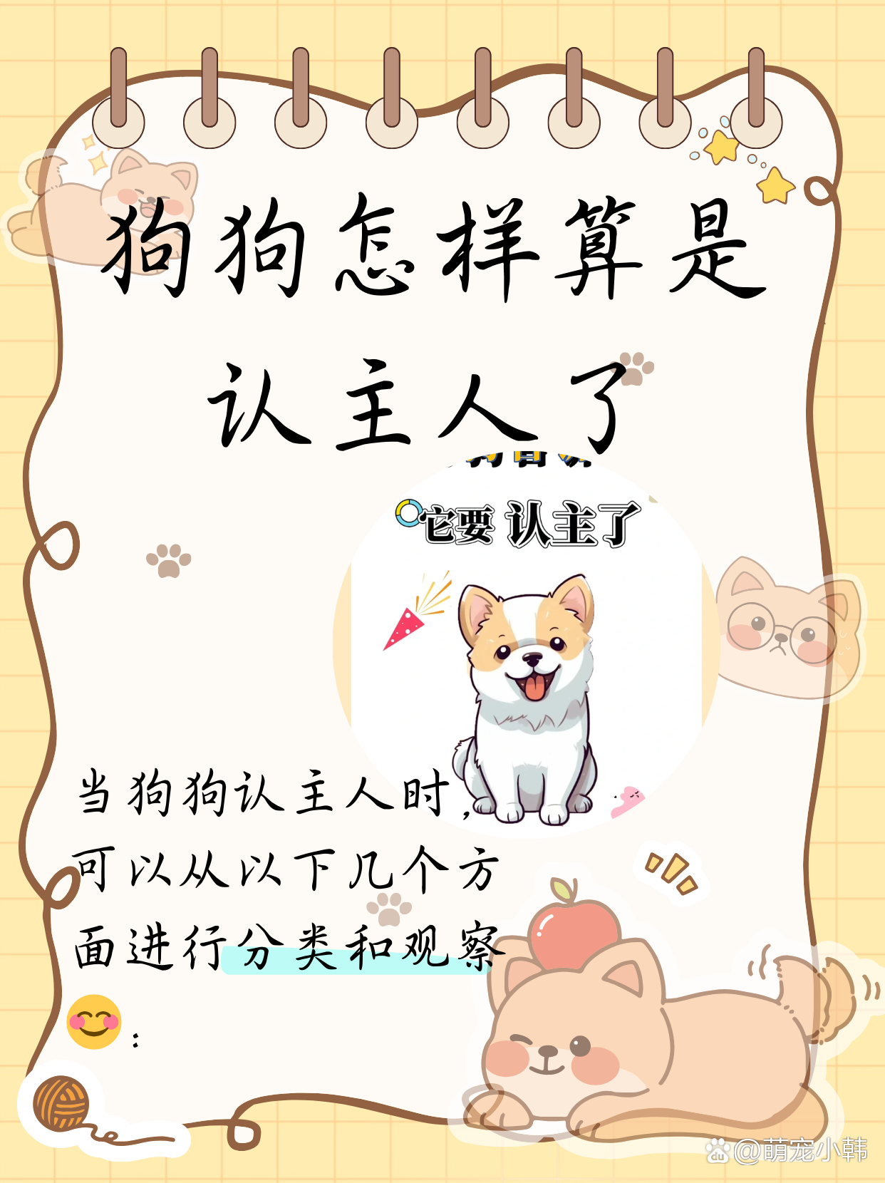 狗狗认主过程