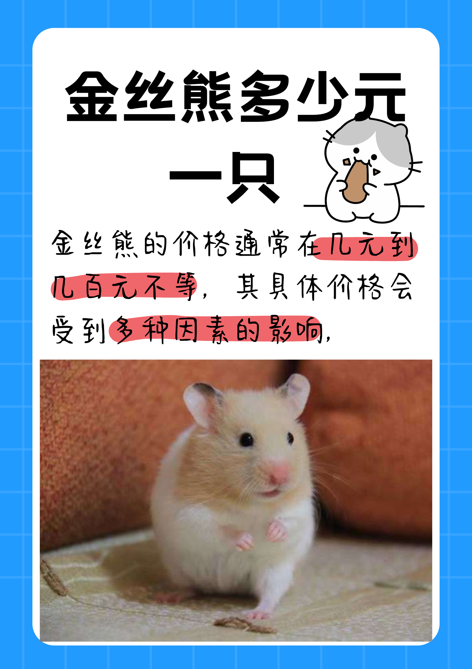 金丝熊多少元一只   金丝熊的价格通常在几元到几百元不等,其具体价格