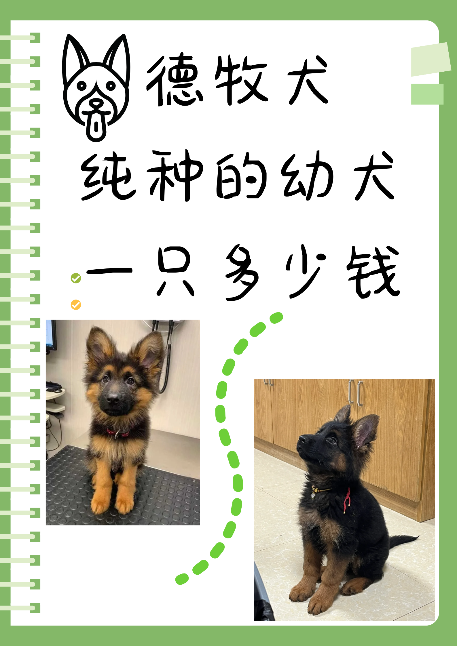 德牧幼犬出售价格图片