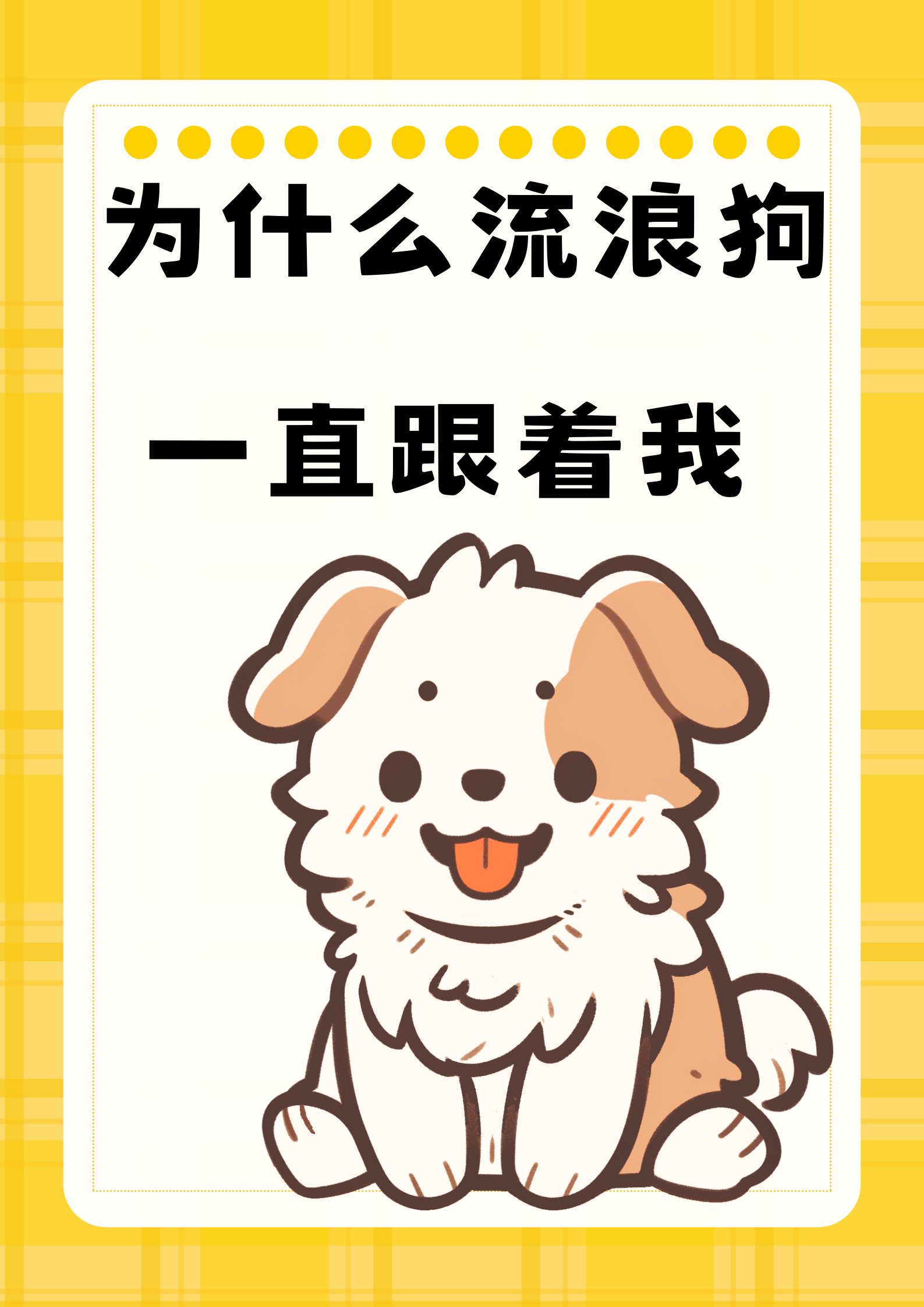 流浪狗一直跟着您,也许是出于以下这些缘故呢: 其一,您散发出来的善意