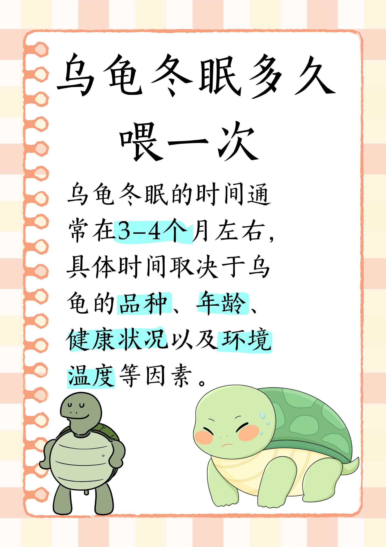 为什么要养乌龟