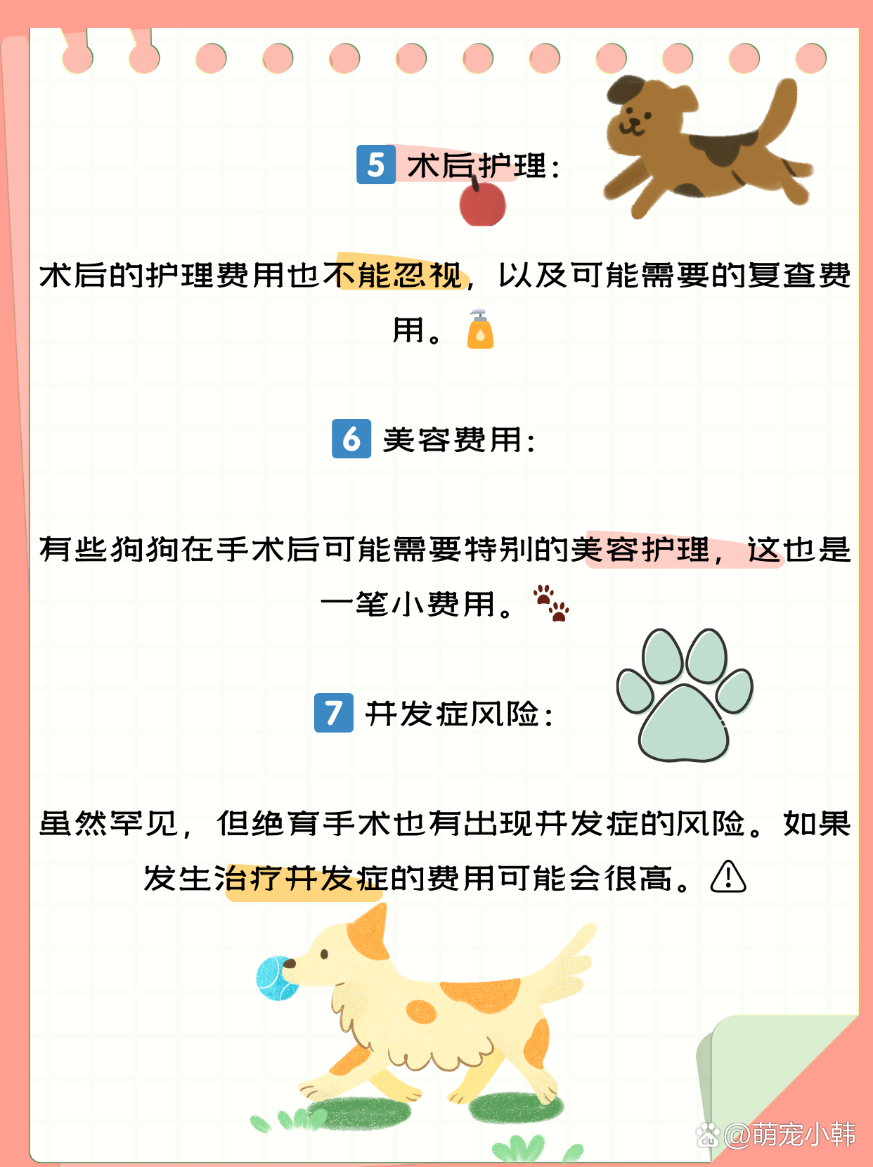 狗狗绝育手术需要多少钱  《狗狗绝育手术需要多少钱》我的贴心分享