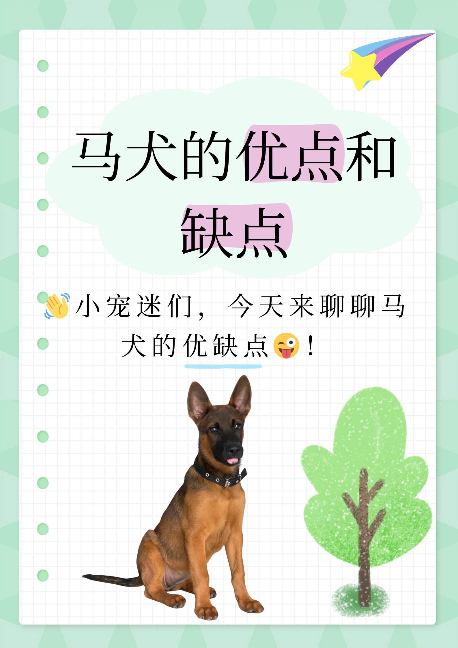 马犬和格力杂交图图片