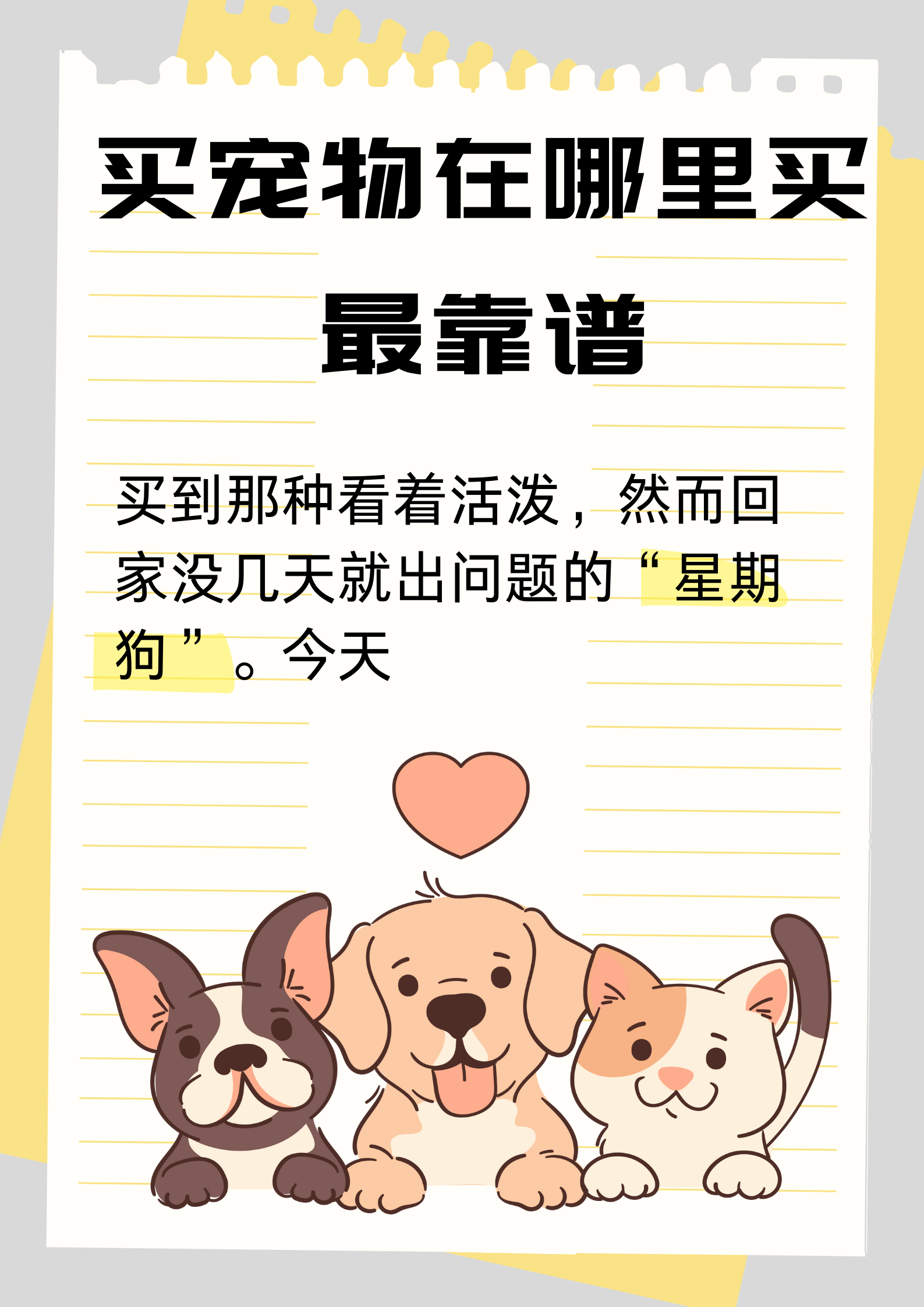 在哪找宠物兼职