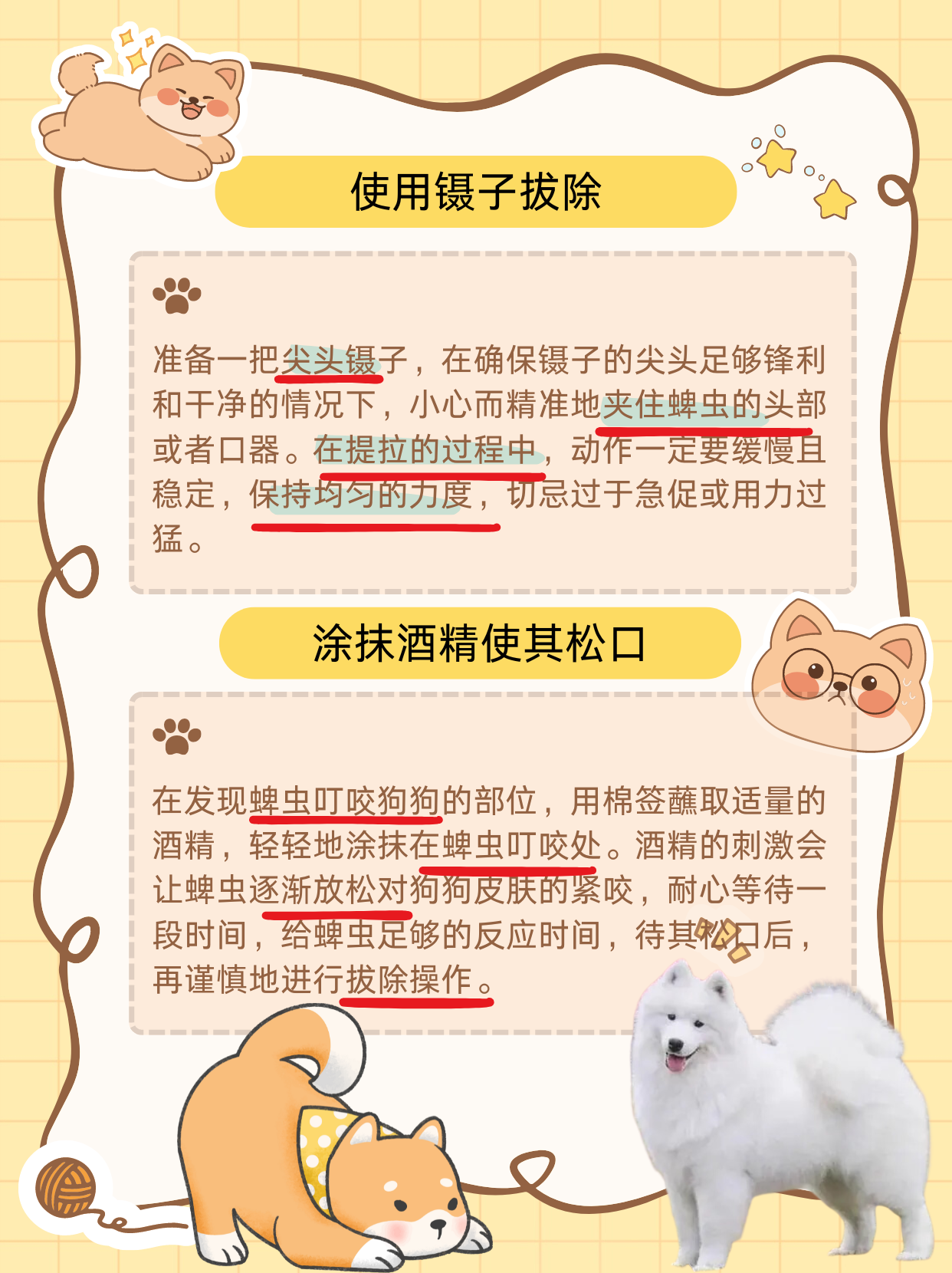 巧用镊子移除   准备一把尖头且无菌的镊子,小心地靠近蜱虫.