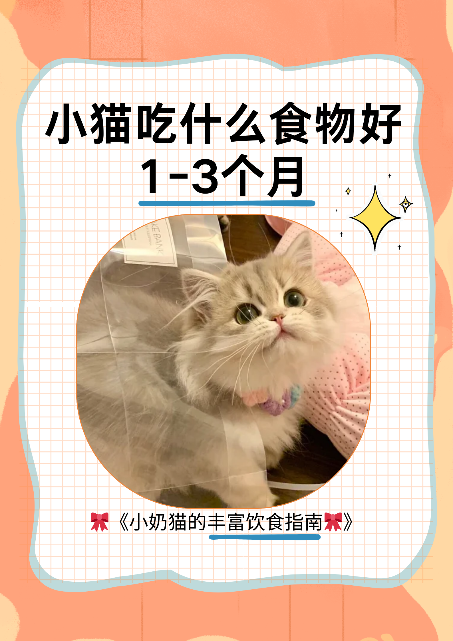 小奶猫软绵绵无力图片