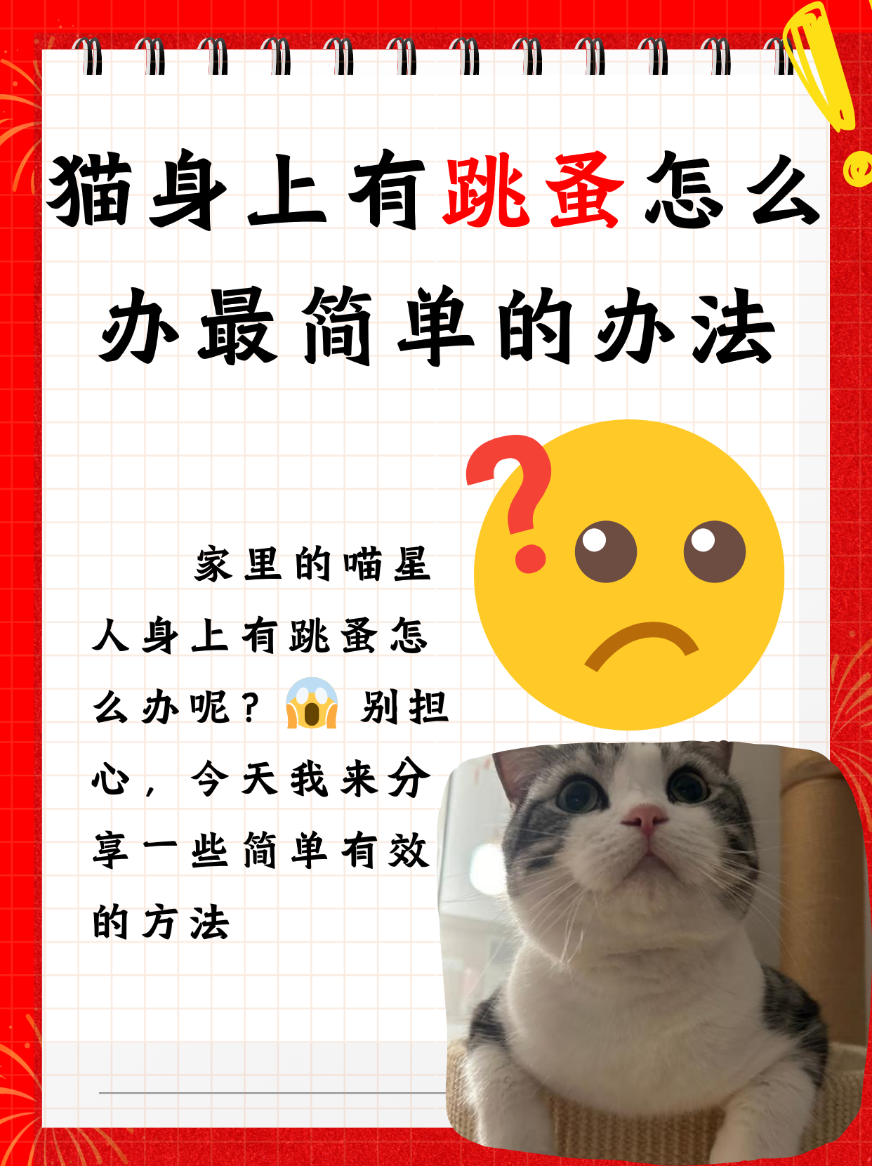 家里没有宠物为什么有跳蚤 家里没有宠物为什么有跳蚤