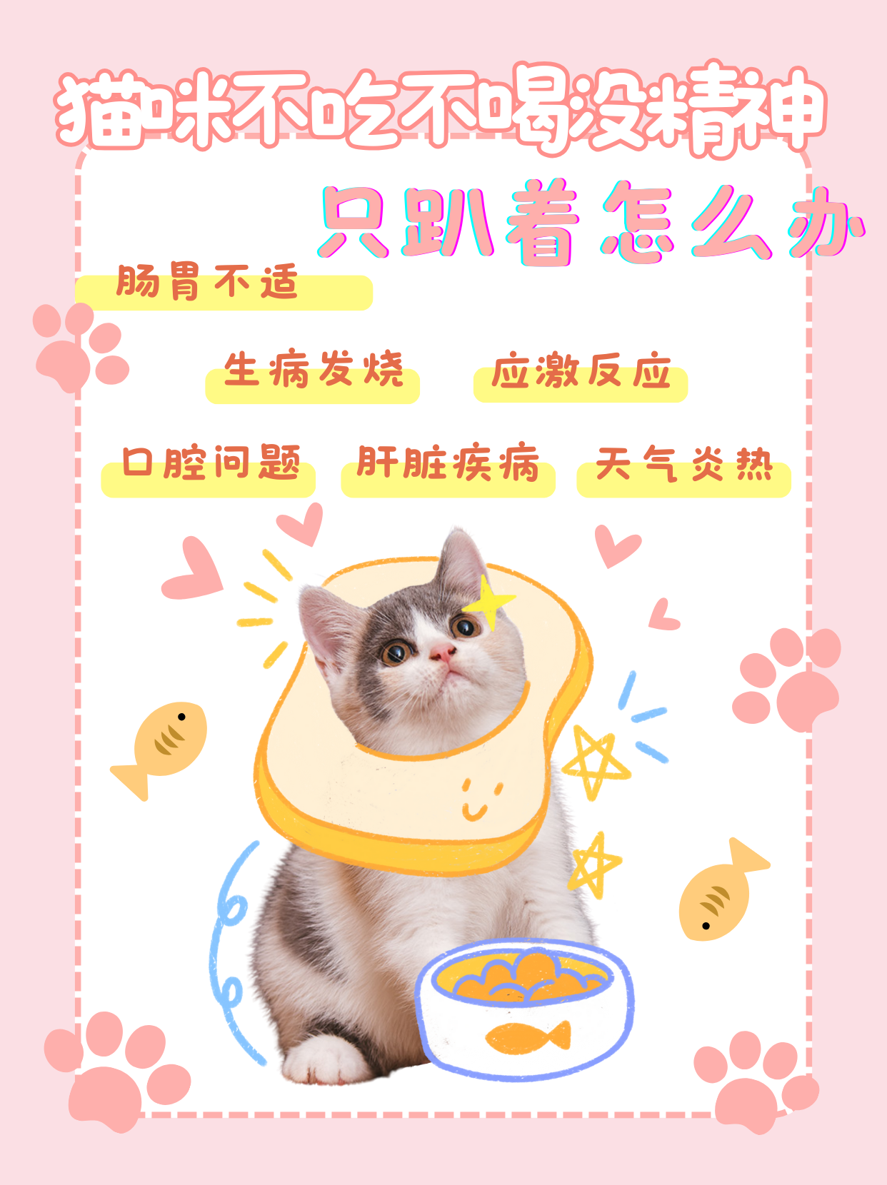 猫咪不吃不喝没精神只趴着怎么办 当您发现心爱的猫咪不吃不喝,没