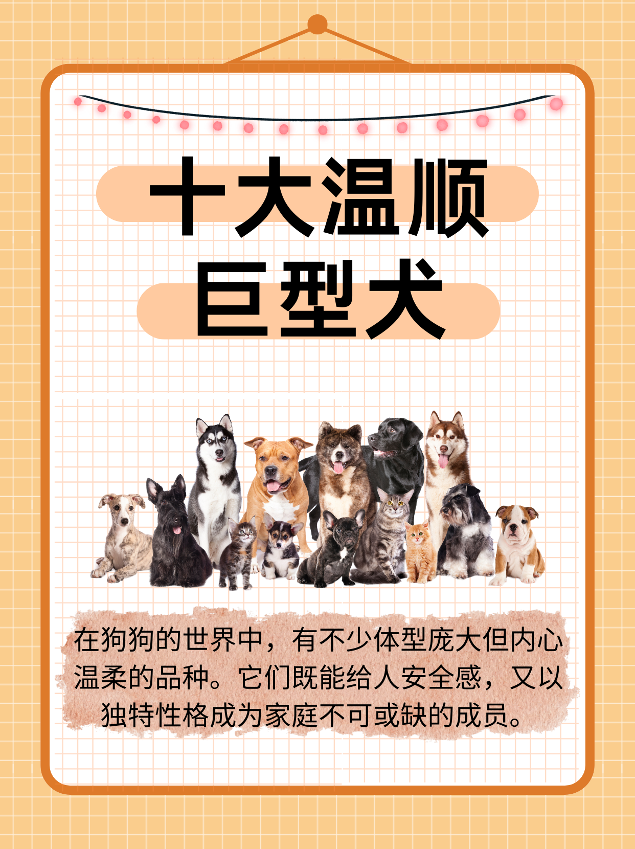 巨型犬大全 排名图片