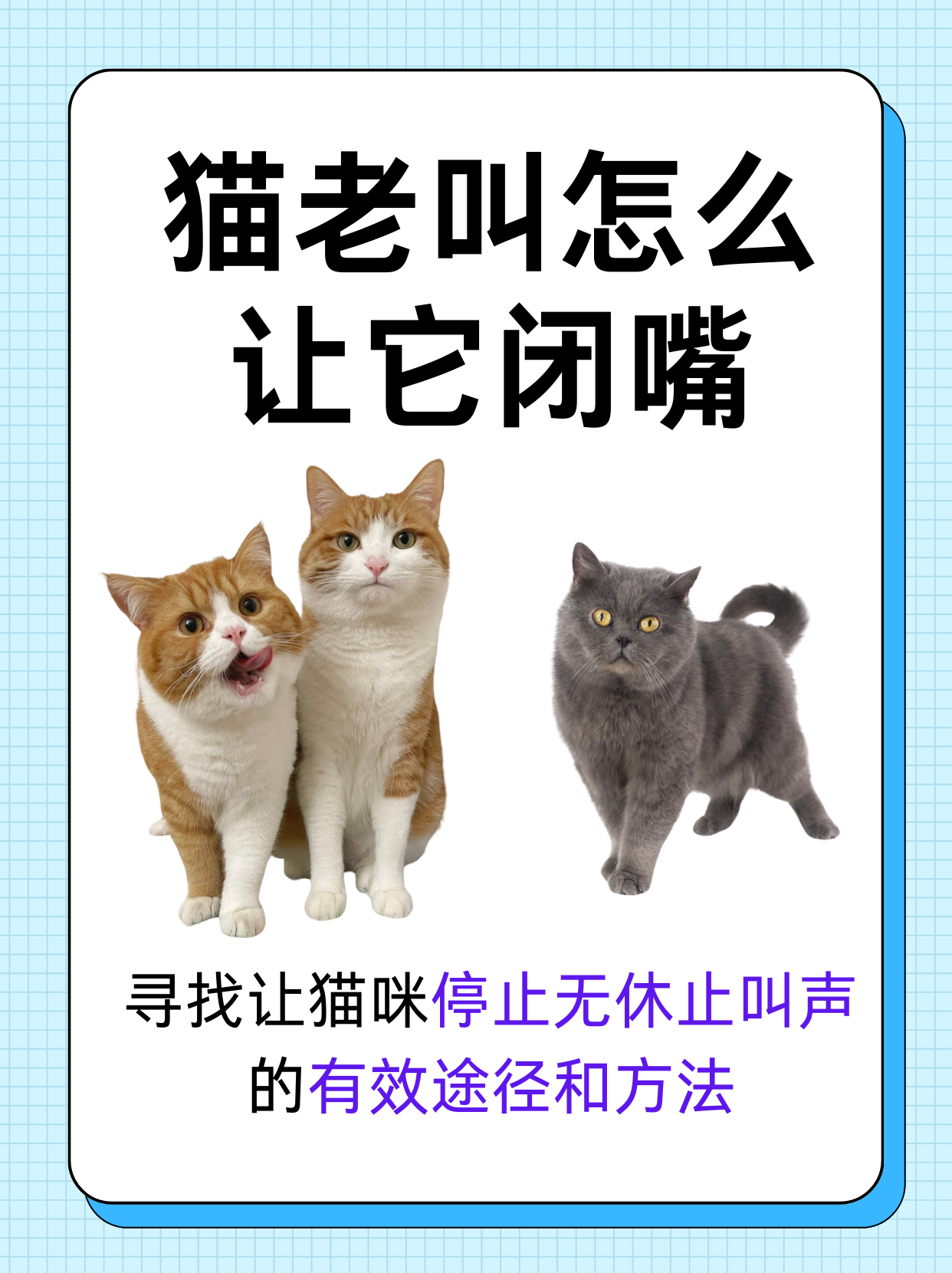 猫为什么一直叫