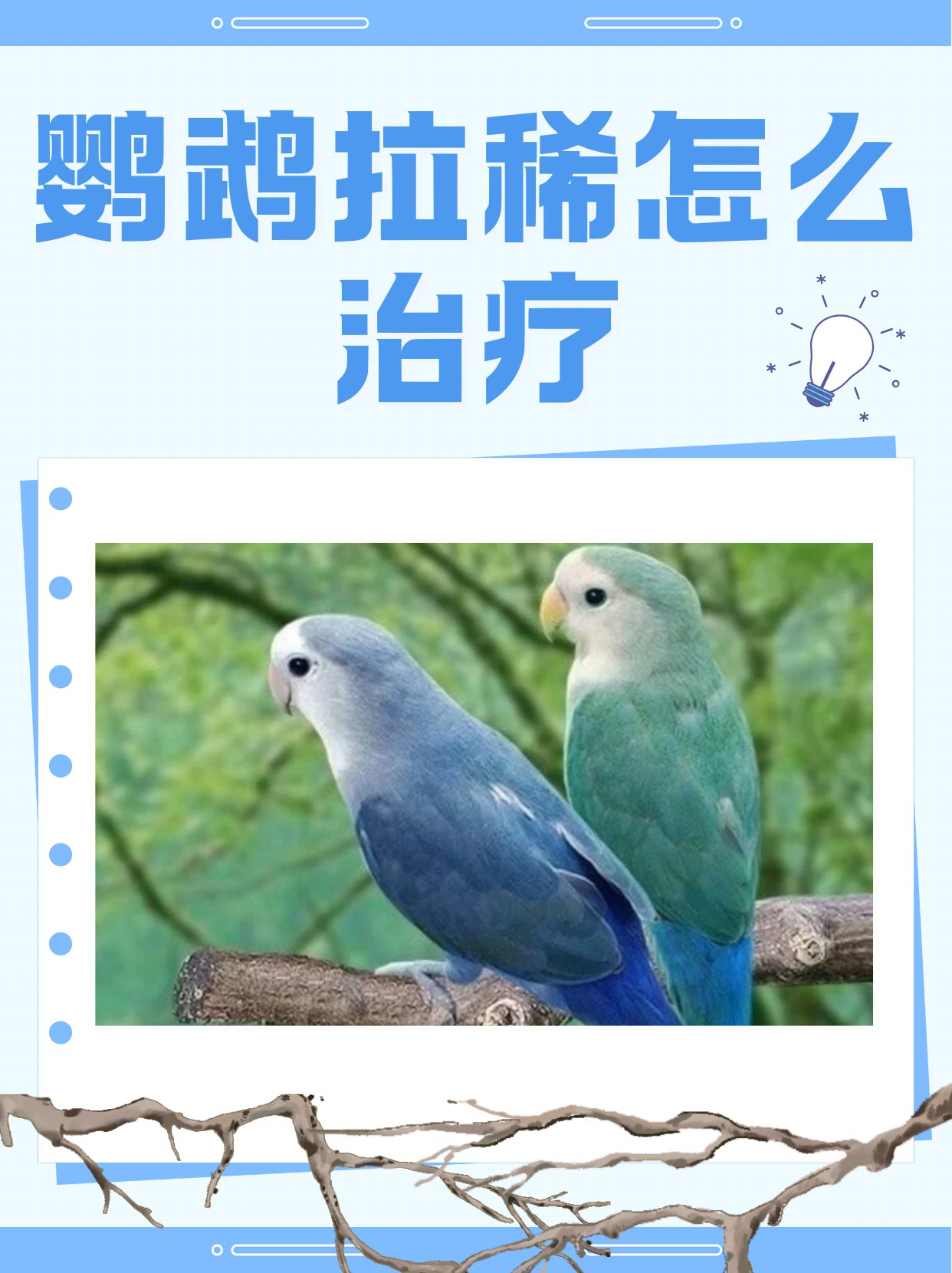 鹦鹉拉稀怎么治疗         鹦鹉拉稀的原因多种多样,只有找准根源