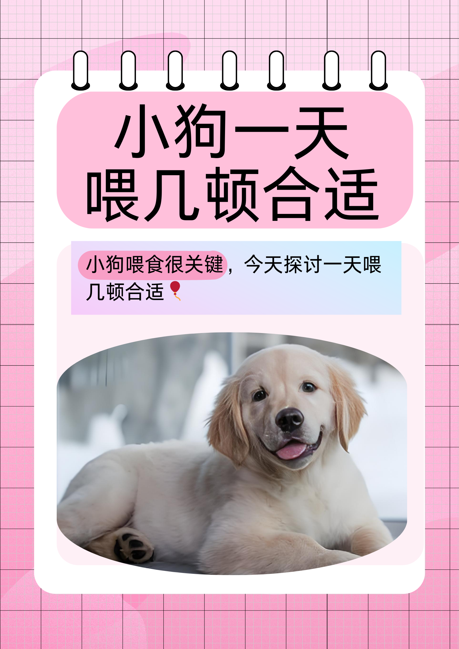 快速生长的关键阶段,它们的身体和器官都在不断发育,消化能力相对较弱