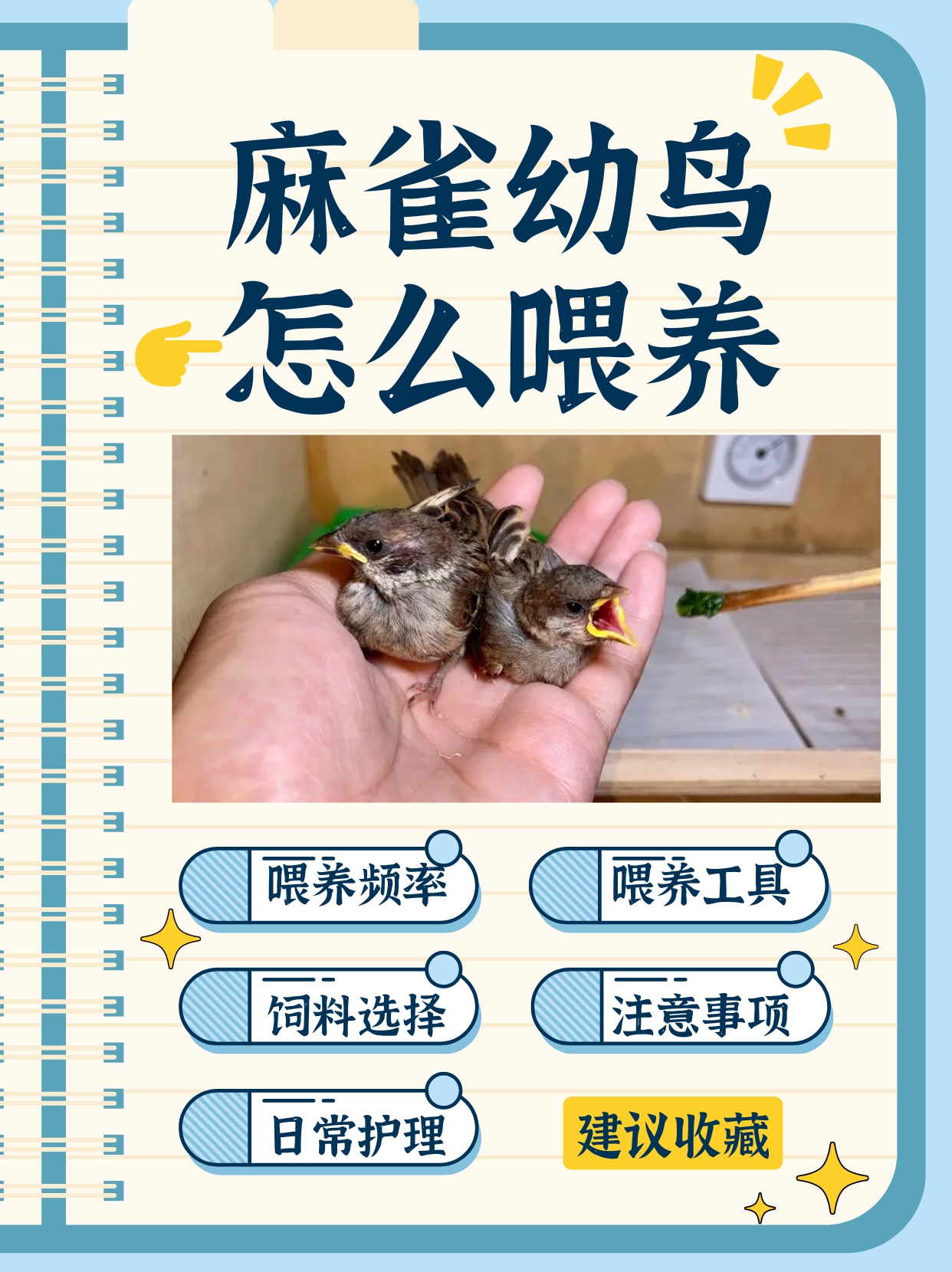 麻雀的体型很小,生性活泼好动,胆子也很大,警惕性