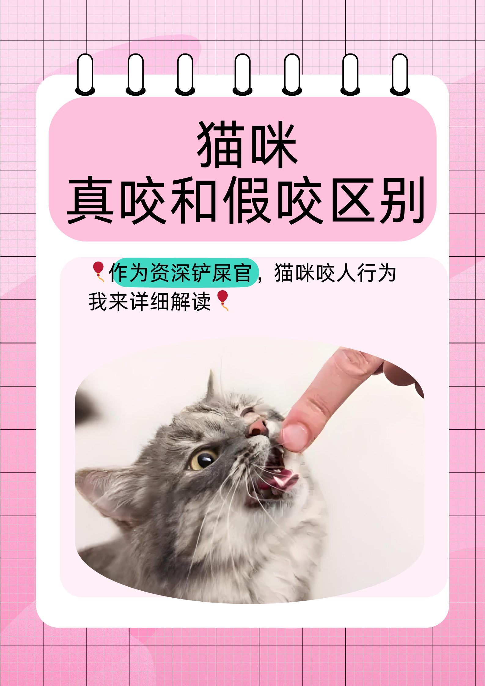 猫咪真咬和假咬区别  作为一个养猫多年的资深铲屎官,对于猫咪咬人的